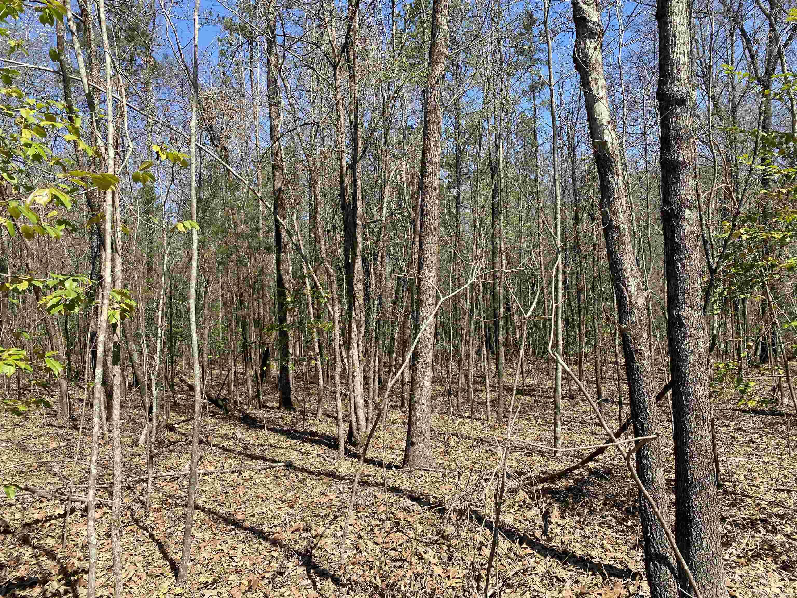 Metes & Bounds - Land