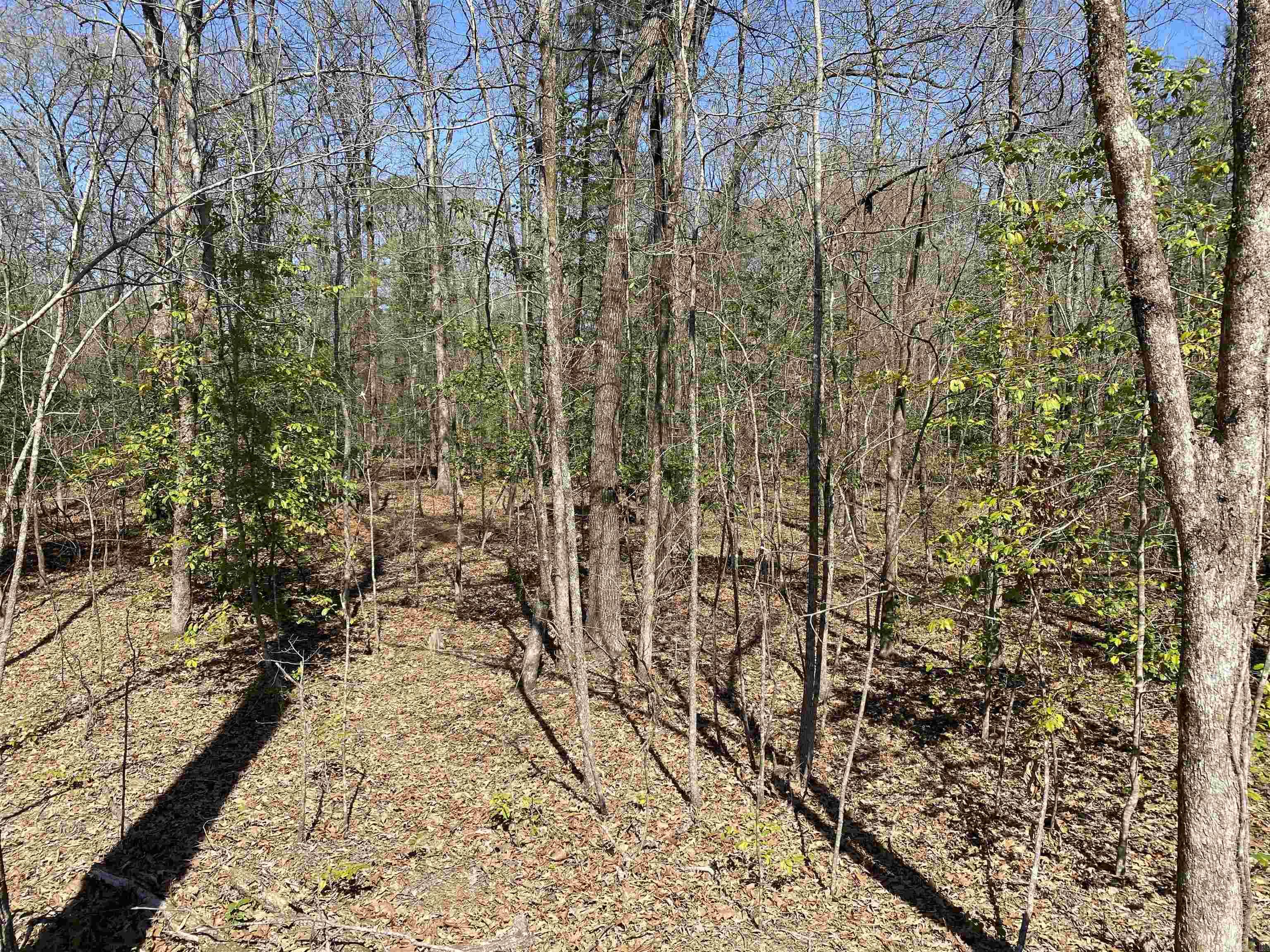 Metes & Bounds - Land