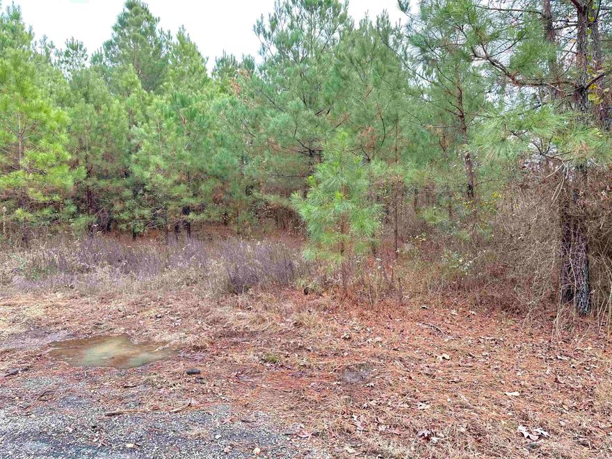 Lots 10 & 11 of Rison Ridge Estates! Approx 11.6 acres total! land is located directly across Highway 133, from Morris Rd. Call today for more information!