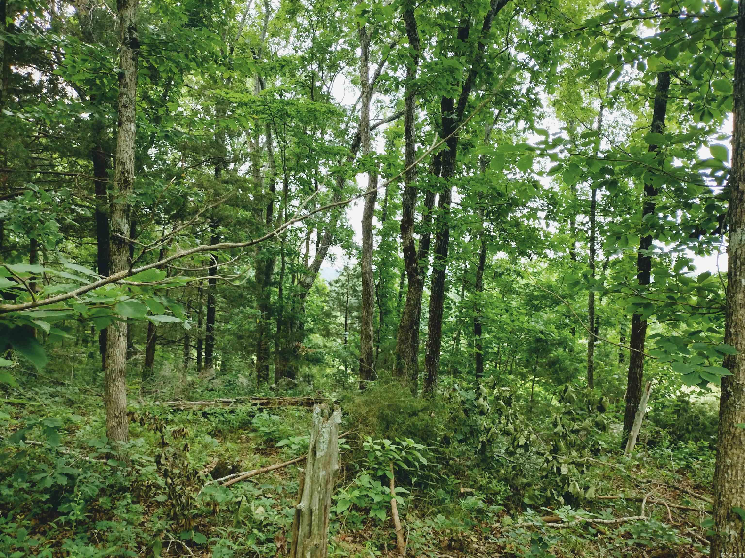 Neff Acres - Land