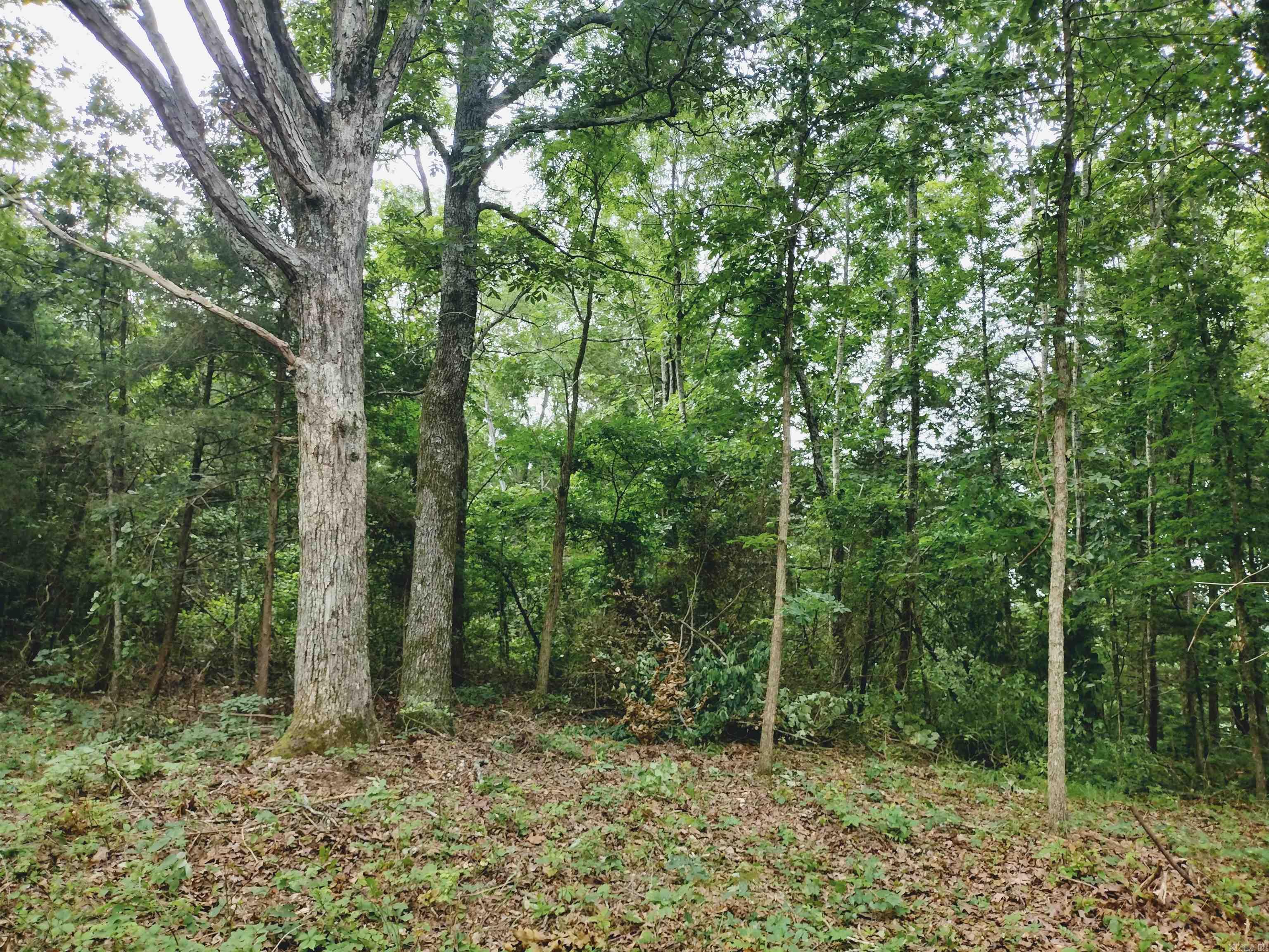 Neff Acres - Land