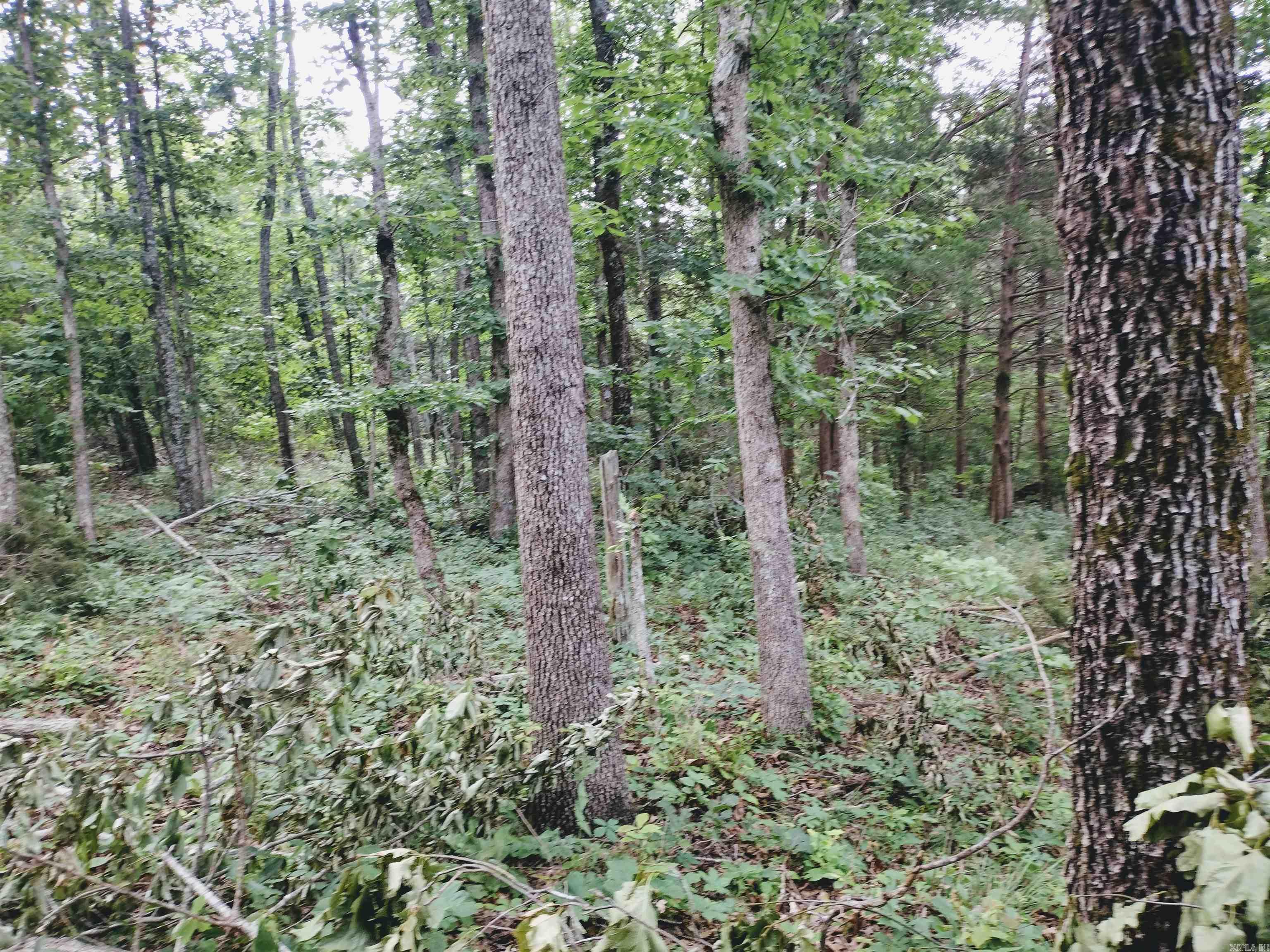 Neff Acres - Land