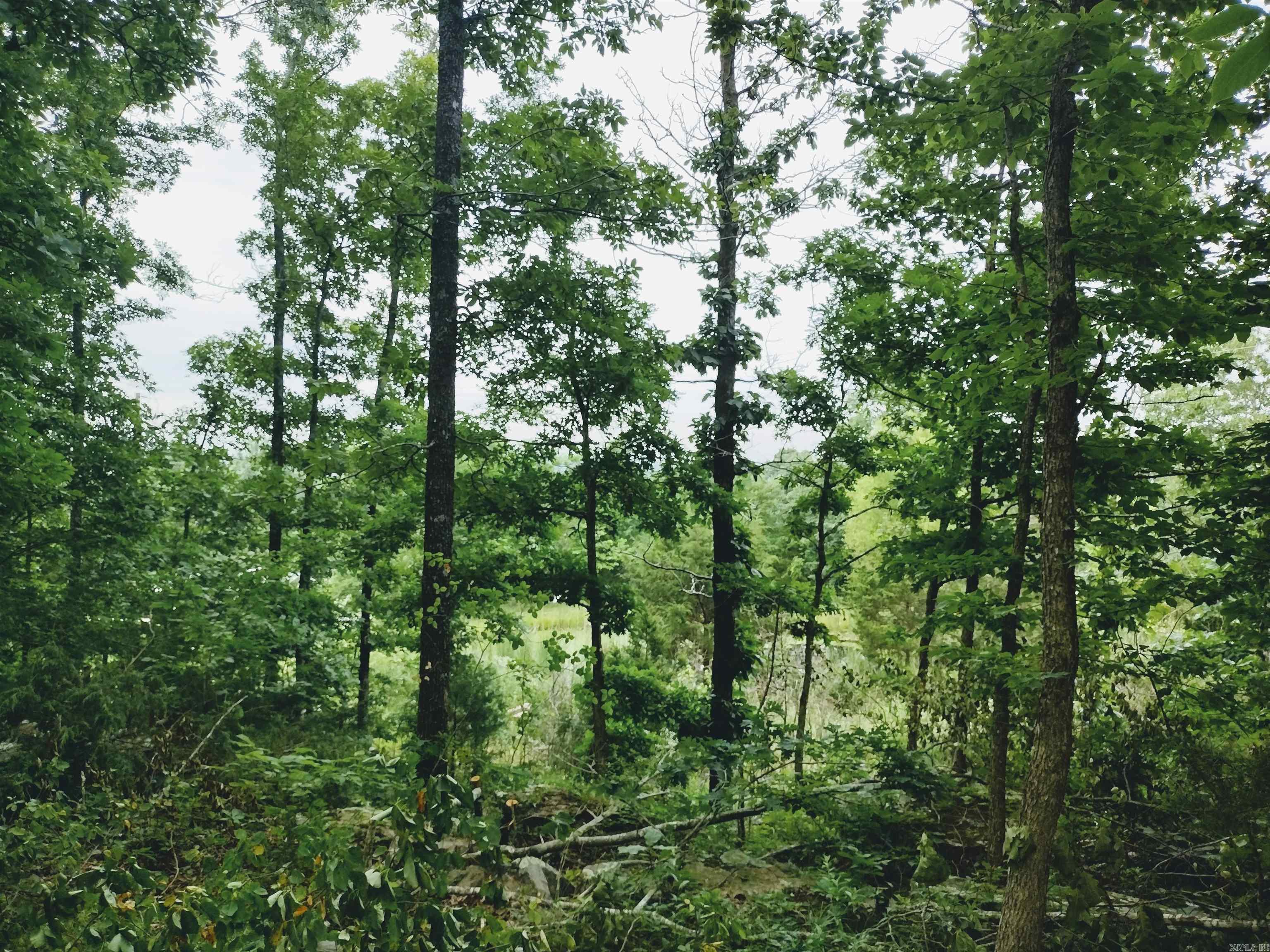 Neff Acres - Land