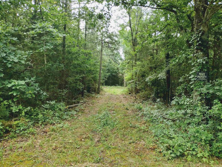 Nice 2.19 acres m/l just minutes to town with views to the south and with clearing could have more would make a great place to build your dream home or vacation home water, power, and fiber available.