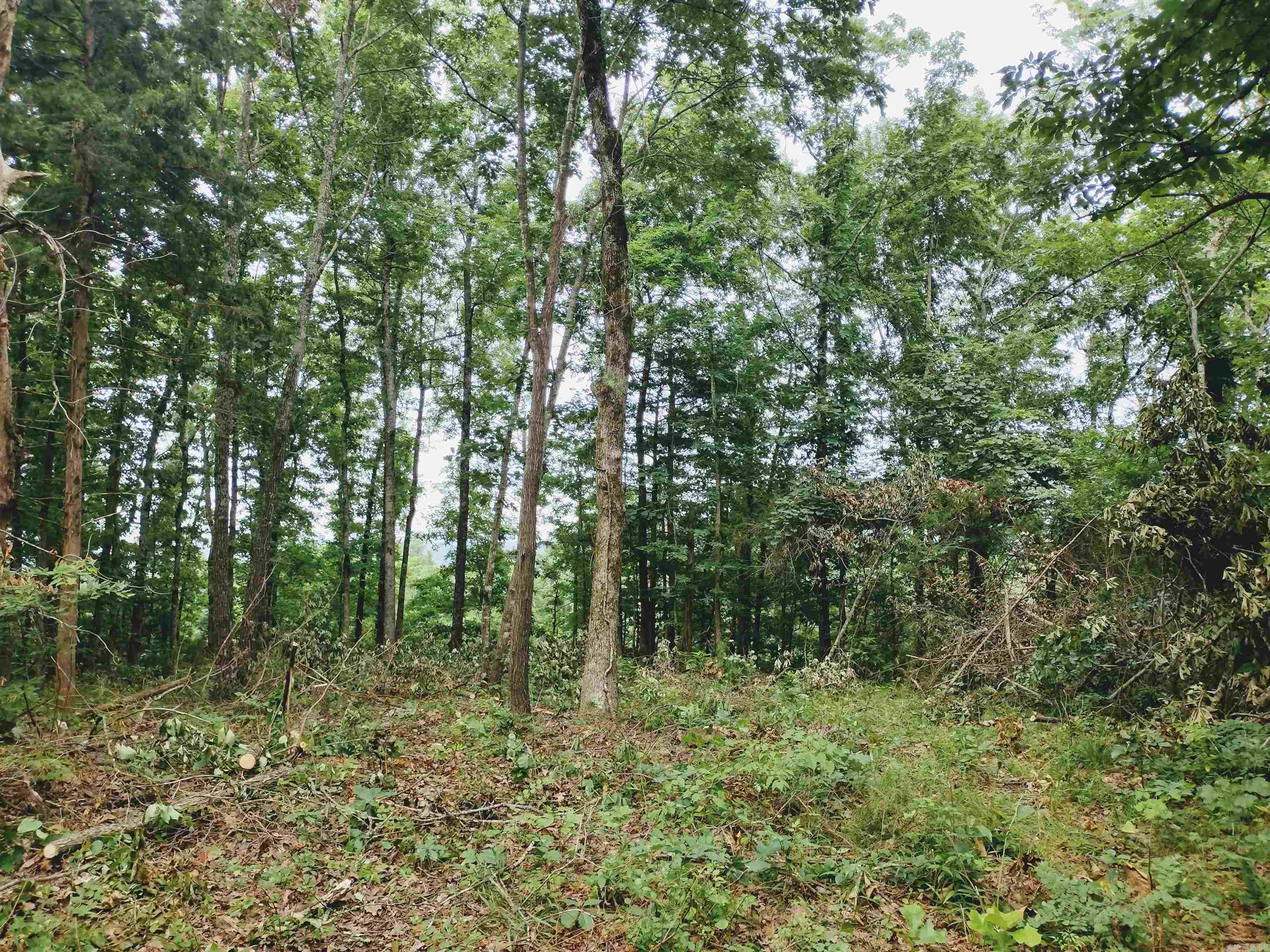Neff Acres - Land