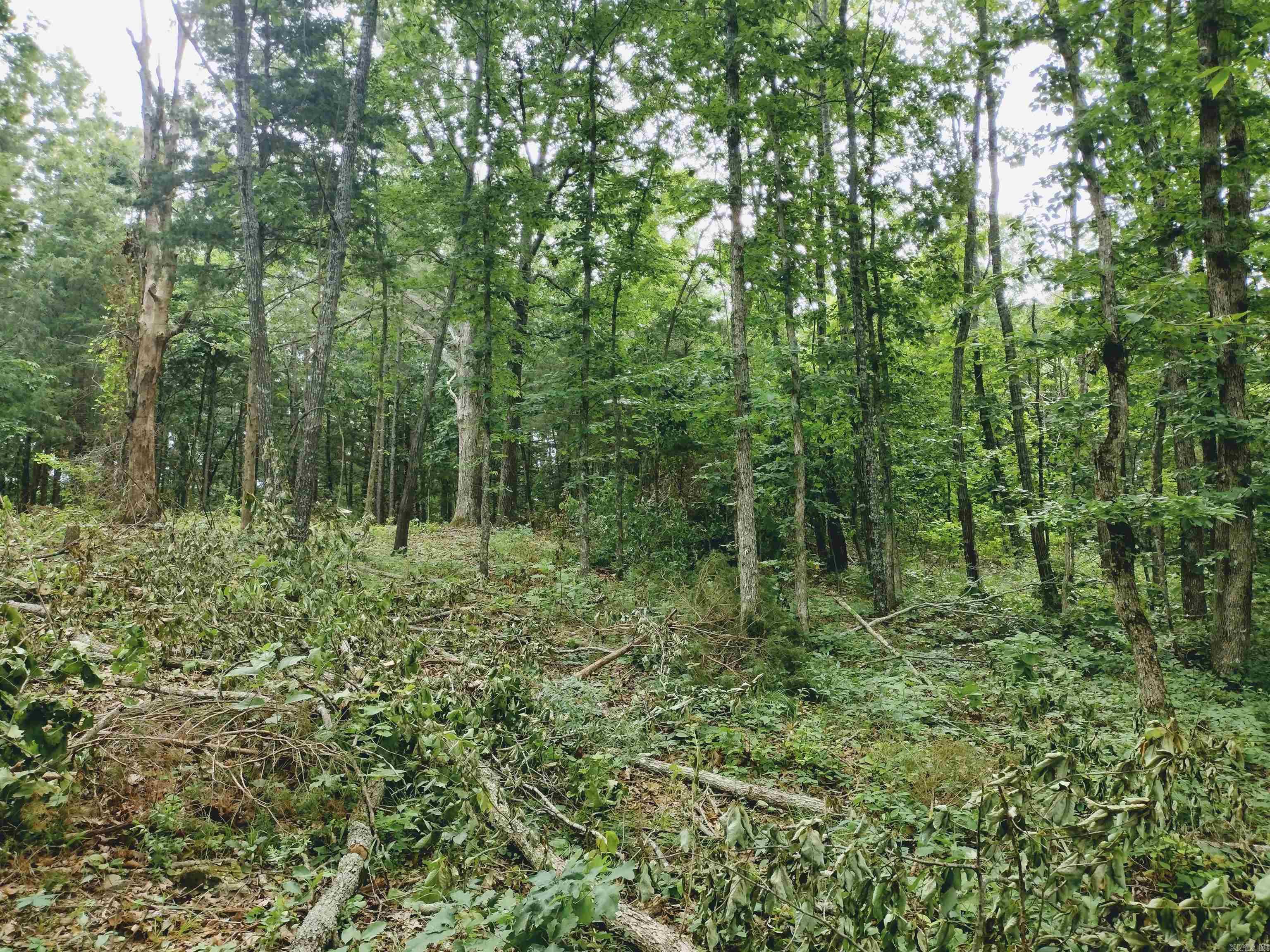 Neff Acres - Land