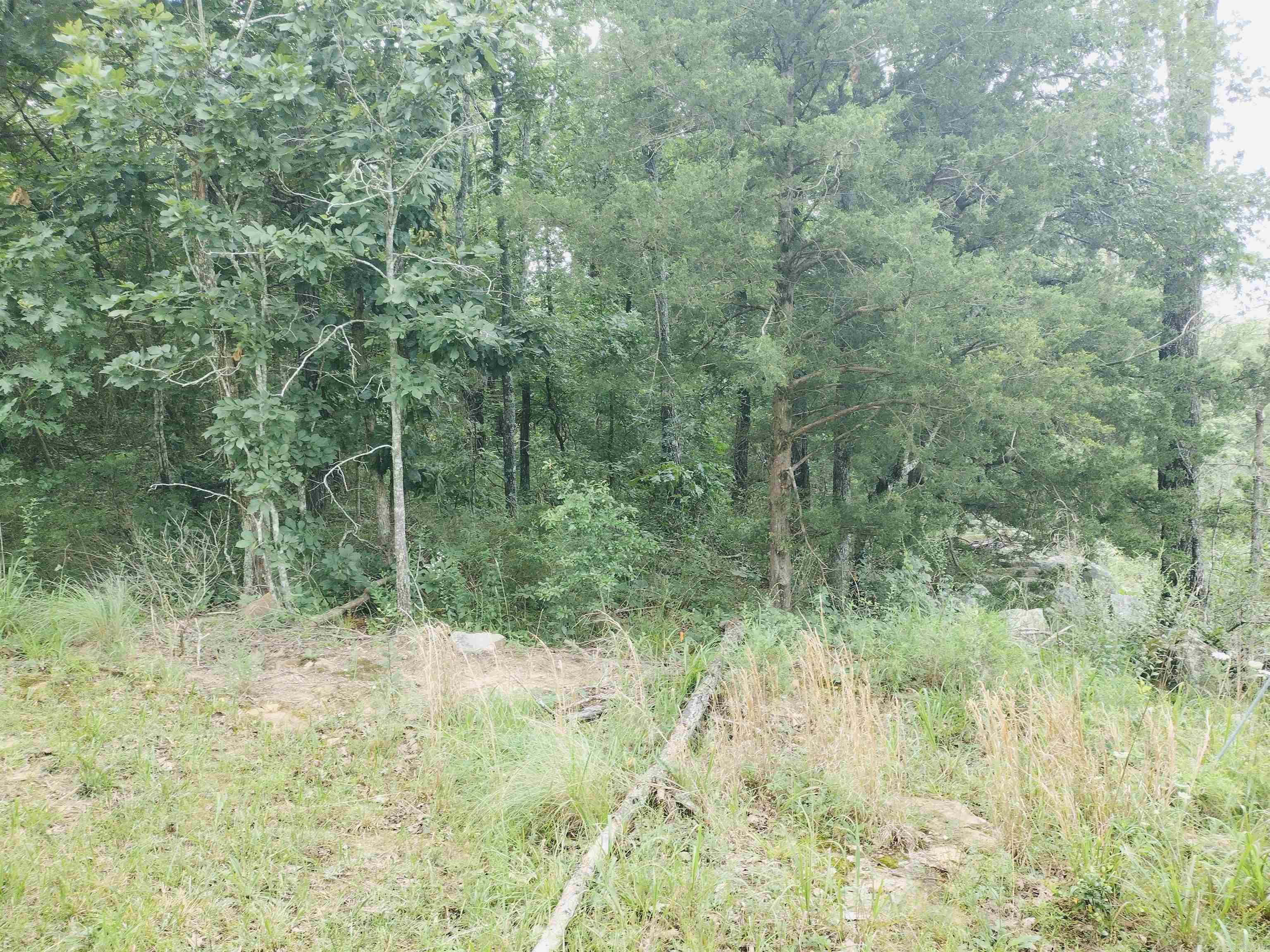 Neff Acres - Land