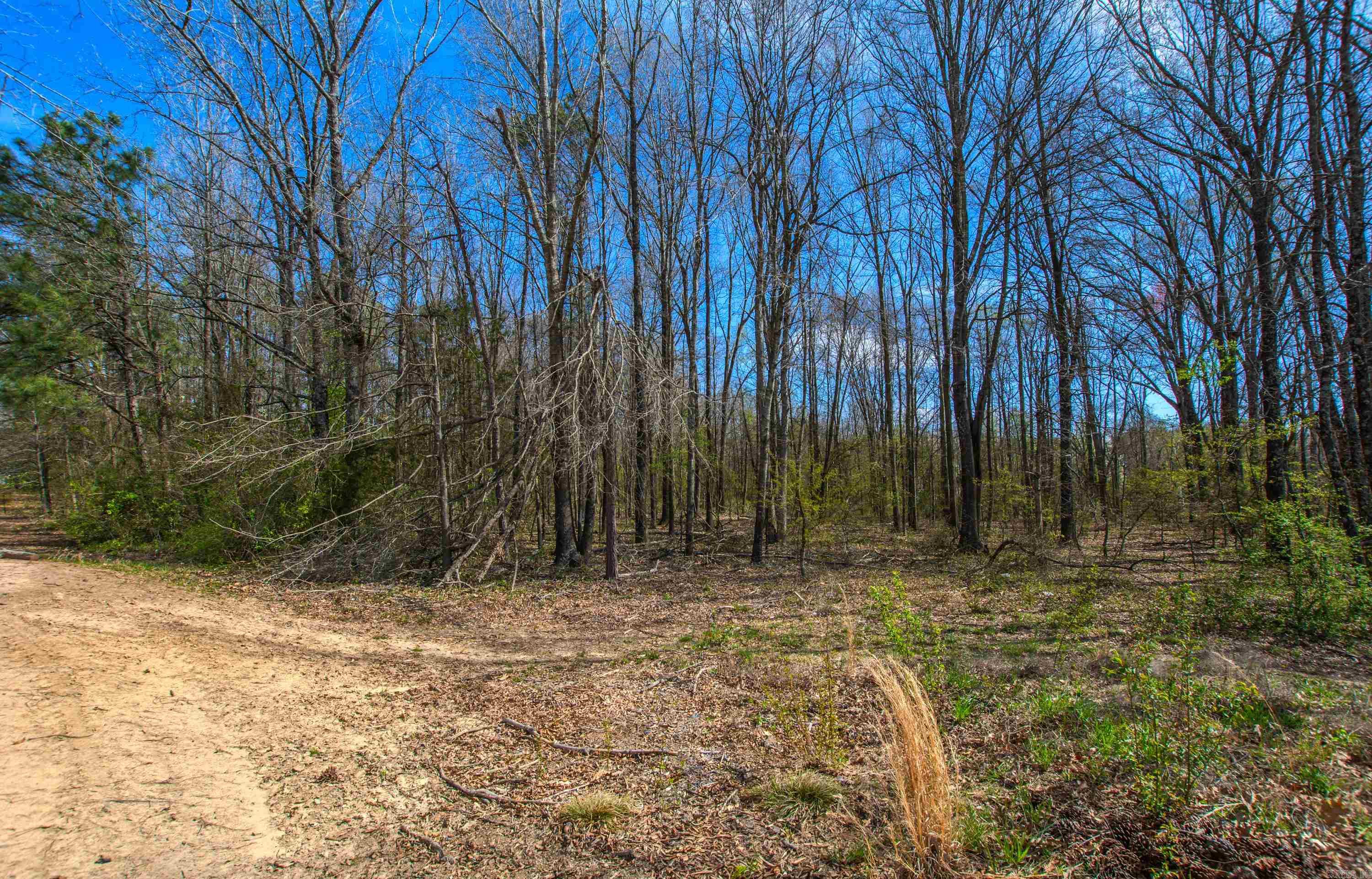 Great Opportunity on Military Rd in Jacksonville. 3.76 Acres.
