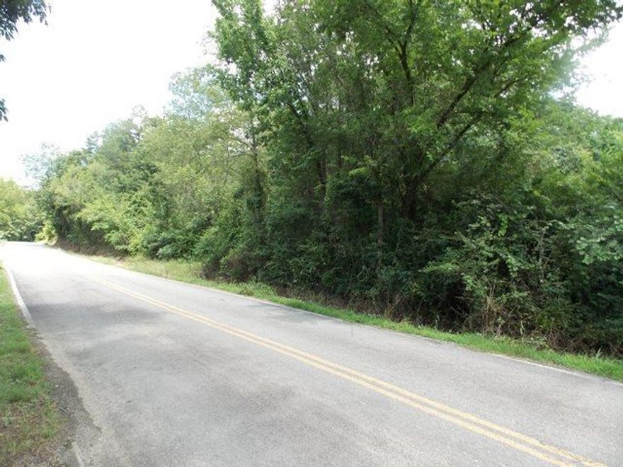 1.5 Acre MOL, paved road frontage. Mobile home allowed. Plenty of shade trees. Culvert in place.