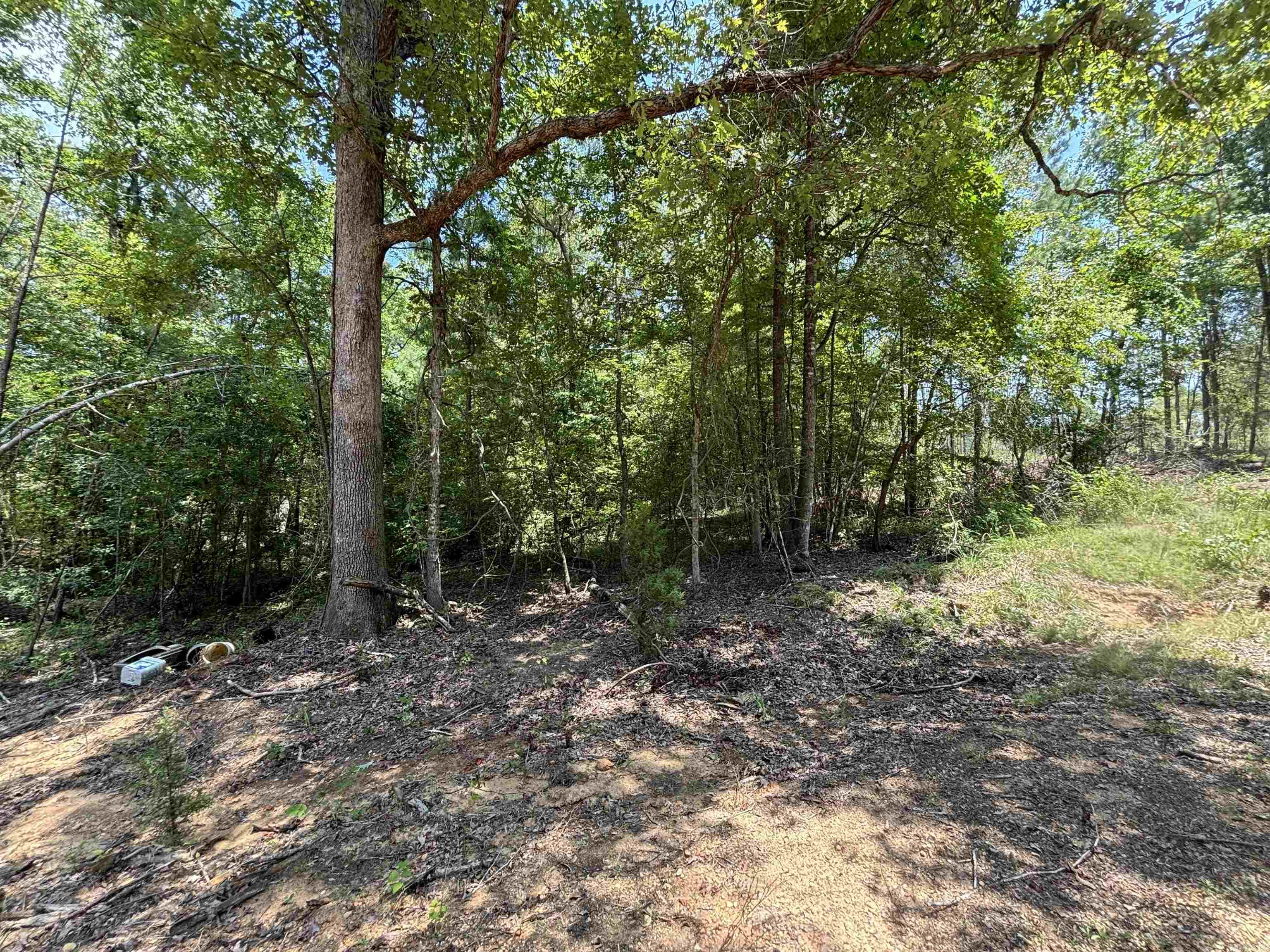 Very private setting-has good-paved frontage on Grant 43*this is "F" on drawing* From 270 West take Grant 43 (aka Country Club Road) and go about 1.5 miles. Property is on the left.