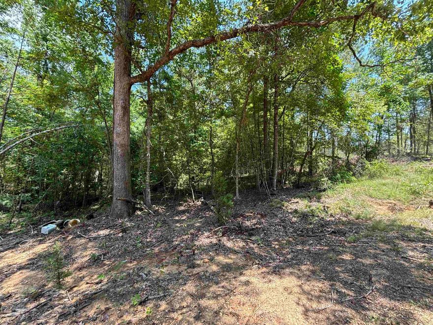 Very private setting-has good-paved frontage on Grant 43*this is "F" on drawing* From 270 West take Grant 43 (aka Country Club Road) and go about 1.5 miles.  Property is on the left.