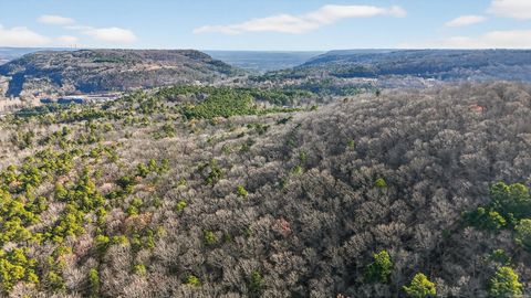 Photo of 349 Bridal Veil Falls Drive, Heber Springs, AR 72543 (MLS # 25049270)