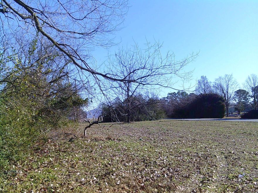 Check out these 4 lots that equal approximately 0.72 acre m/l in the town of Blytheville, Arkansas! The property has several places to build, with many level areas. There are several large trees on the property. Great location-close to everything in town!