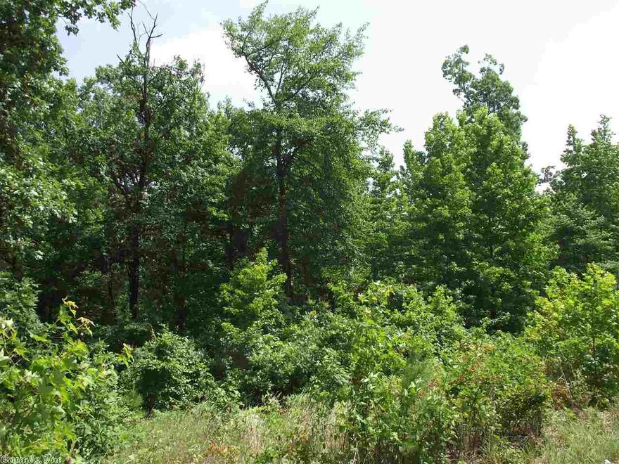 BUILD YOUR DREAM HOME ON THIS BEAUTIFUL LOT! WONDERFUL NEIGHBORHOOD OF BEAUTIFUL UPSCALE HOMES. . .LOCATED IN BRYANT SCHOOL DISTRICT, YET CONVENIENT TO WEST LITTLE ROCK!