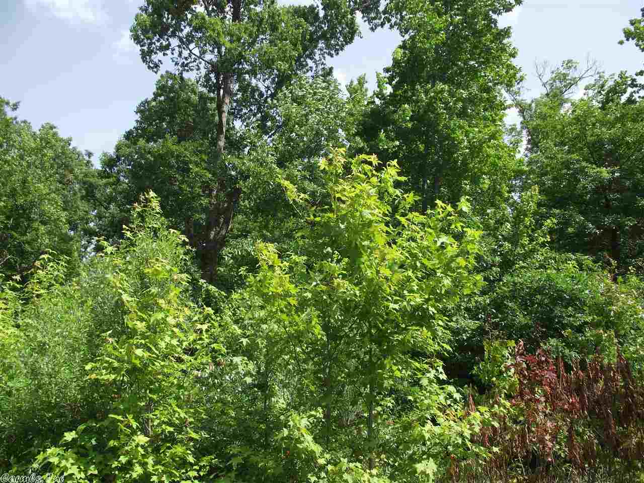 Countryside Estates - Land