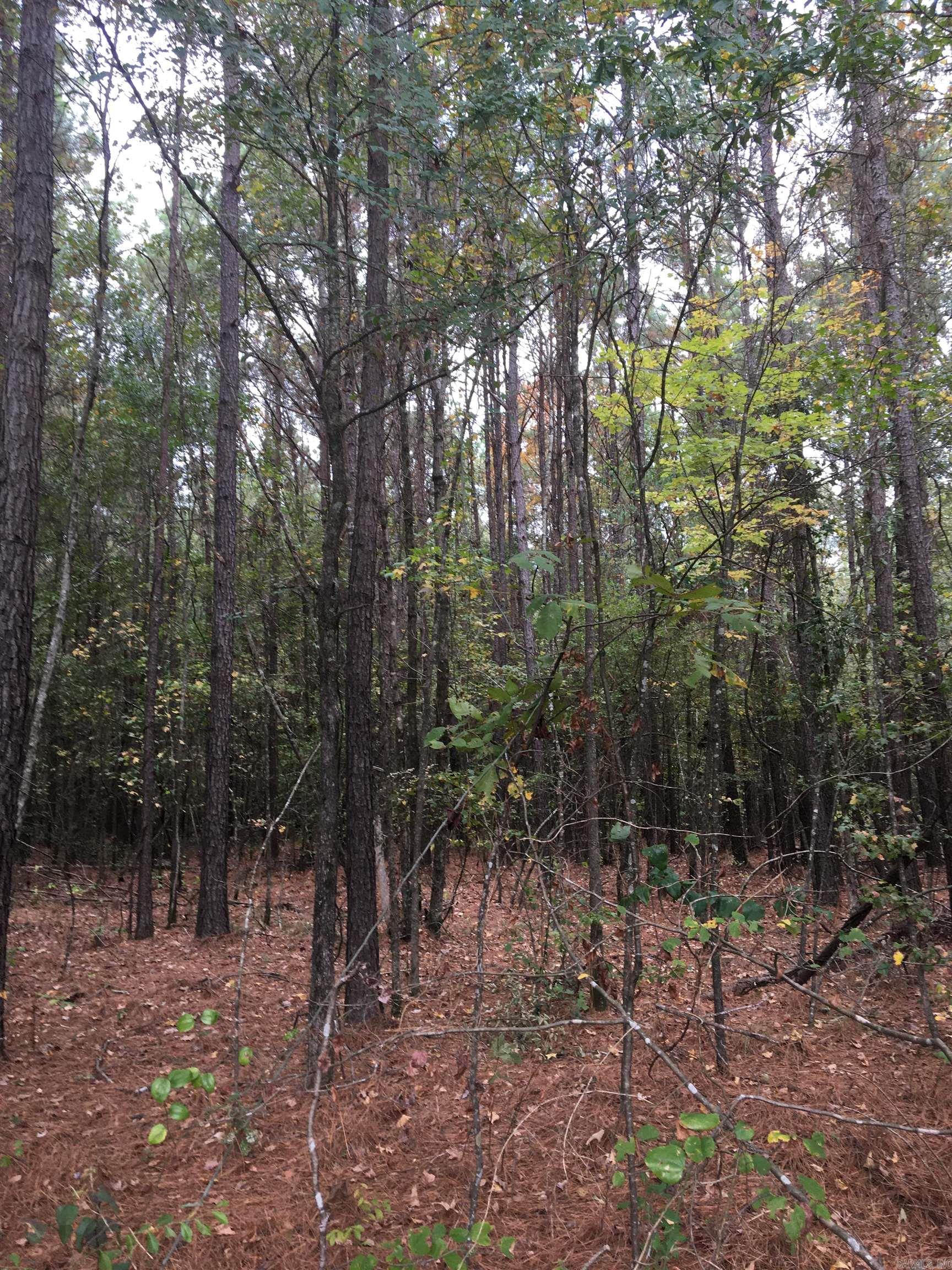 Not in Subdivision - Land