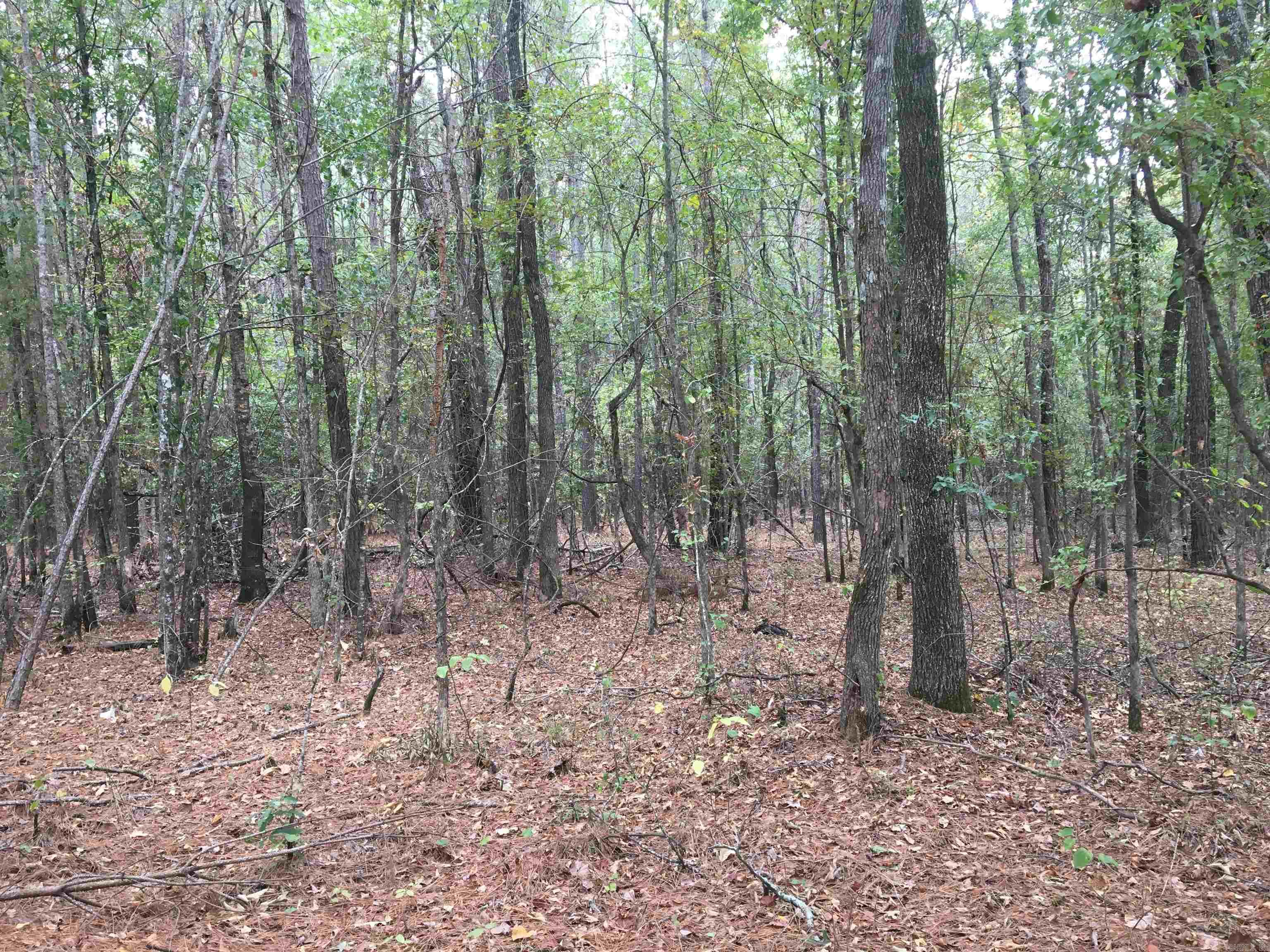 Super level lot with plenty of trees for a country-style homestead opportunity of a lifetime! Privacy with the convenience of a portion of road frontage to create a driveway for access at the front corner of lot. Septic is required in area.