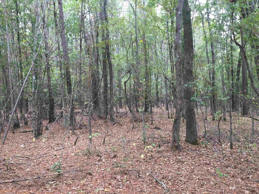 Super level lot with plenty of trees for a country-style homestead opportunity of a lifetime! Privacy with the convenience of a portion of road frontage to create a driveway for access at the front corner of lot. Septic is required in area.