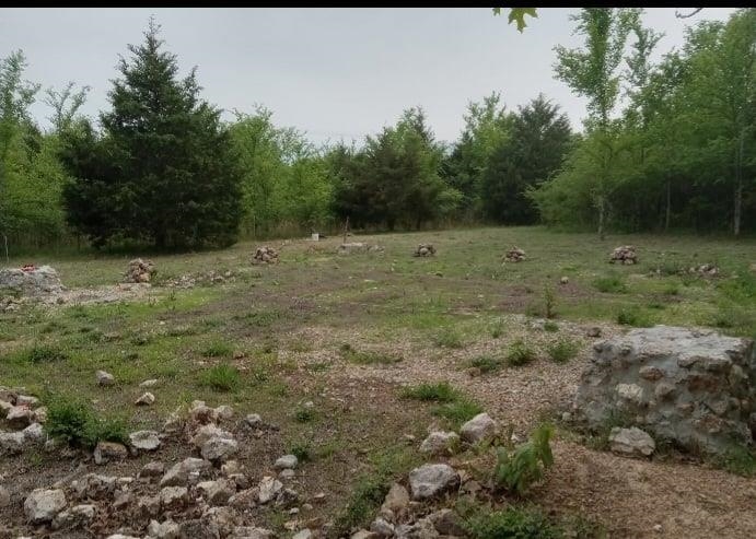Looking for some land in a private area, no restrictions, and easy to build on? Your search ends here. Whether your dream is to build a small cabin for weekend get aways, to have year round hunting access, or a property to build your dream home, this lot has it all. It is a level lot located on secluded 9 Mile Ridge Road and offers the perfect amount of privacy and natural beauty. This lot is well fertilized perfect for growing gardens or plants. It is home to several dozen Plum, Persimmon, and large cedar trees, attracting plenty of wildlife. A new culvert and gate were built providing access directly to the road. Conveniently located a short drive to Myatt Creek and Spring River, allowing plenty of water activities such as fishing, floating, and swimming. Don't miss this gem. Take your chance and invest in your dream! Camper does not convey, utilities available at the road.
