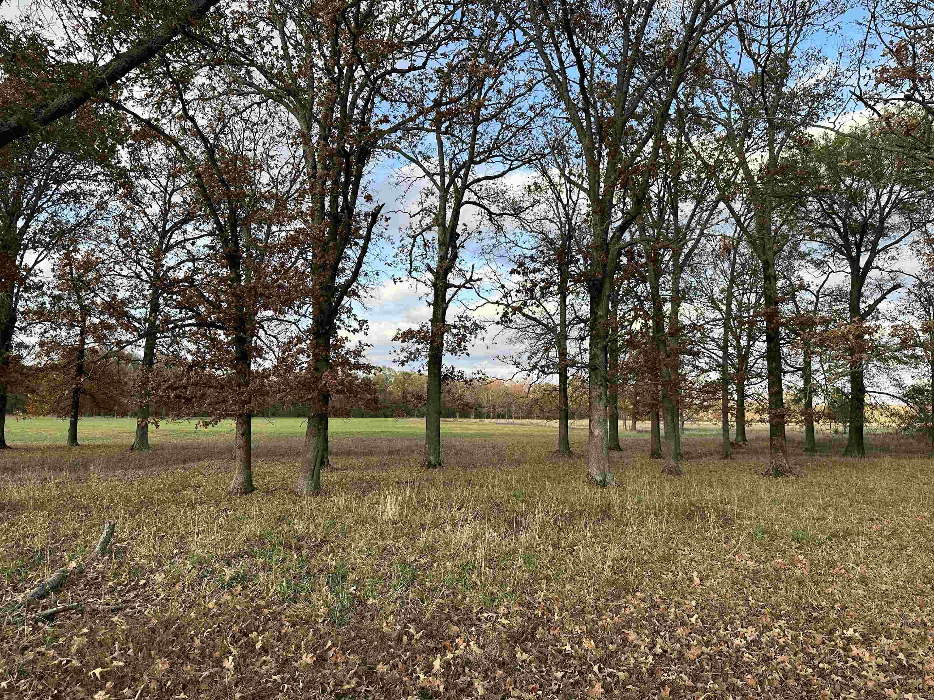 Metes & Bounds - Farm