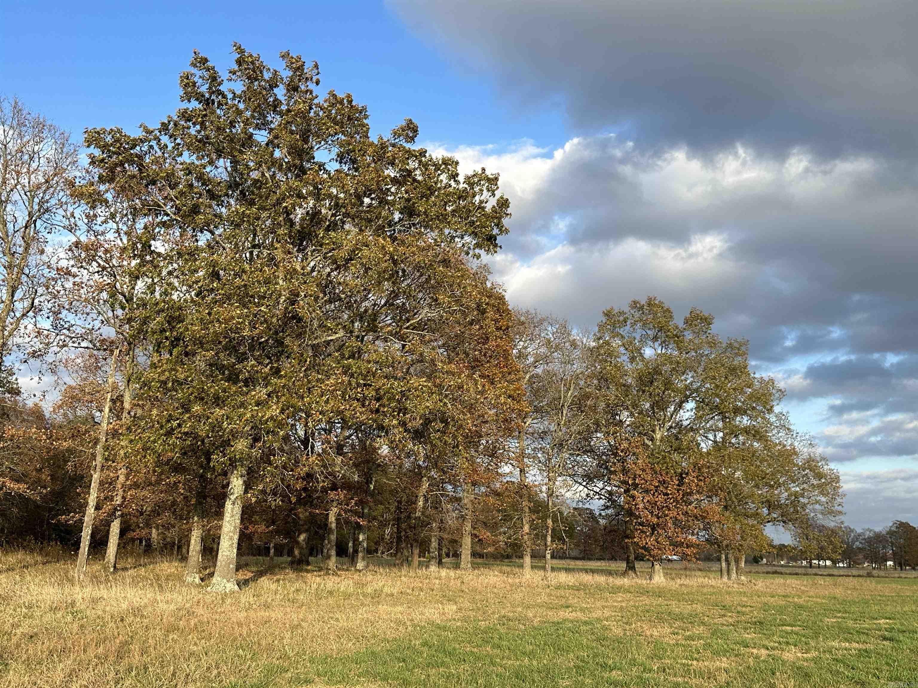 Metes & Bounds - Farm