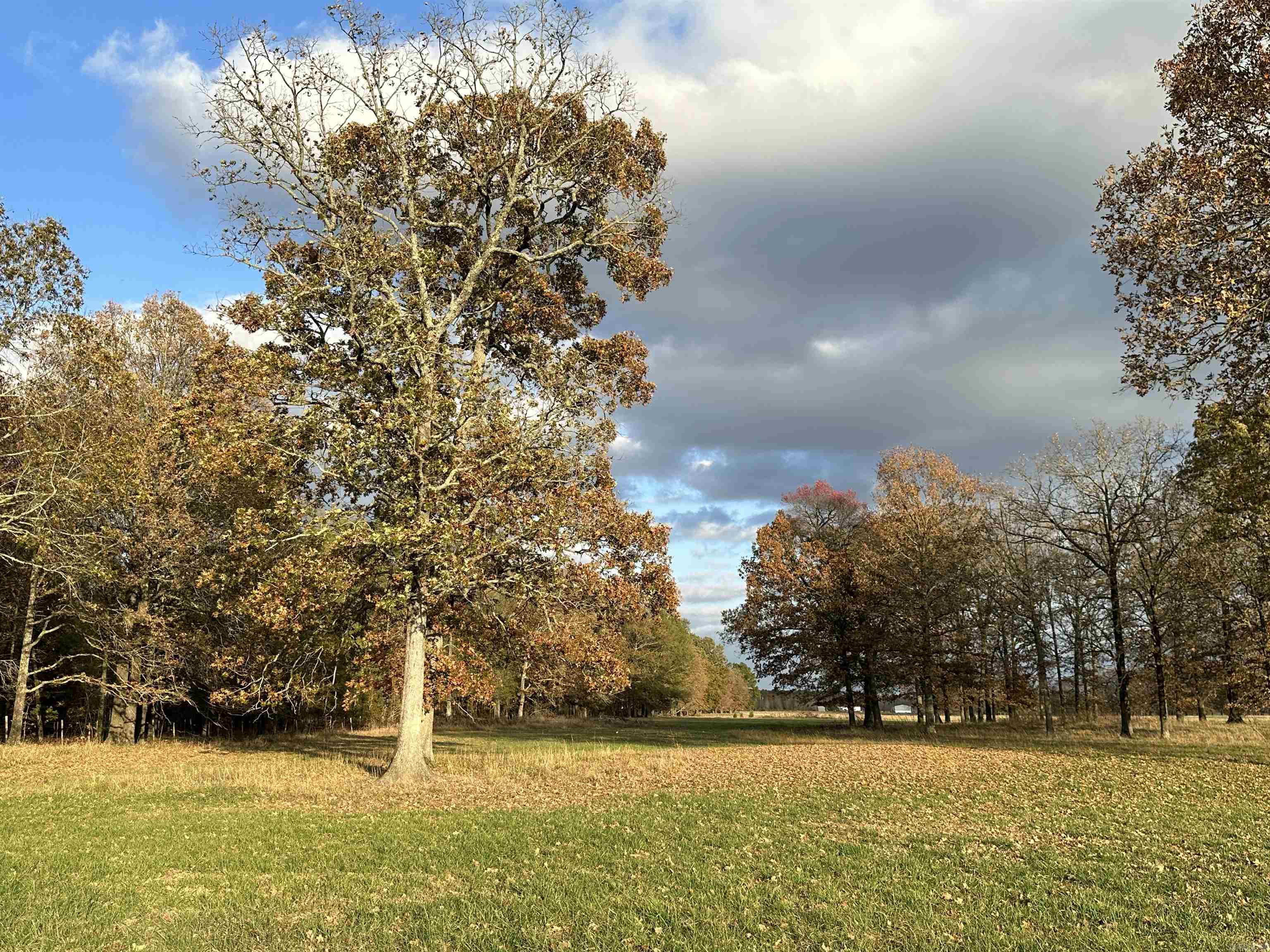 Metes & Bounds - Farm