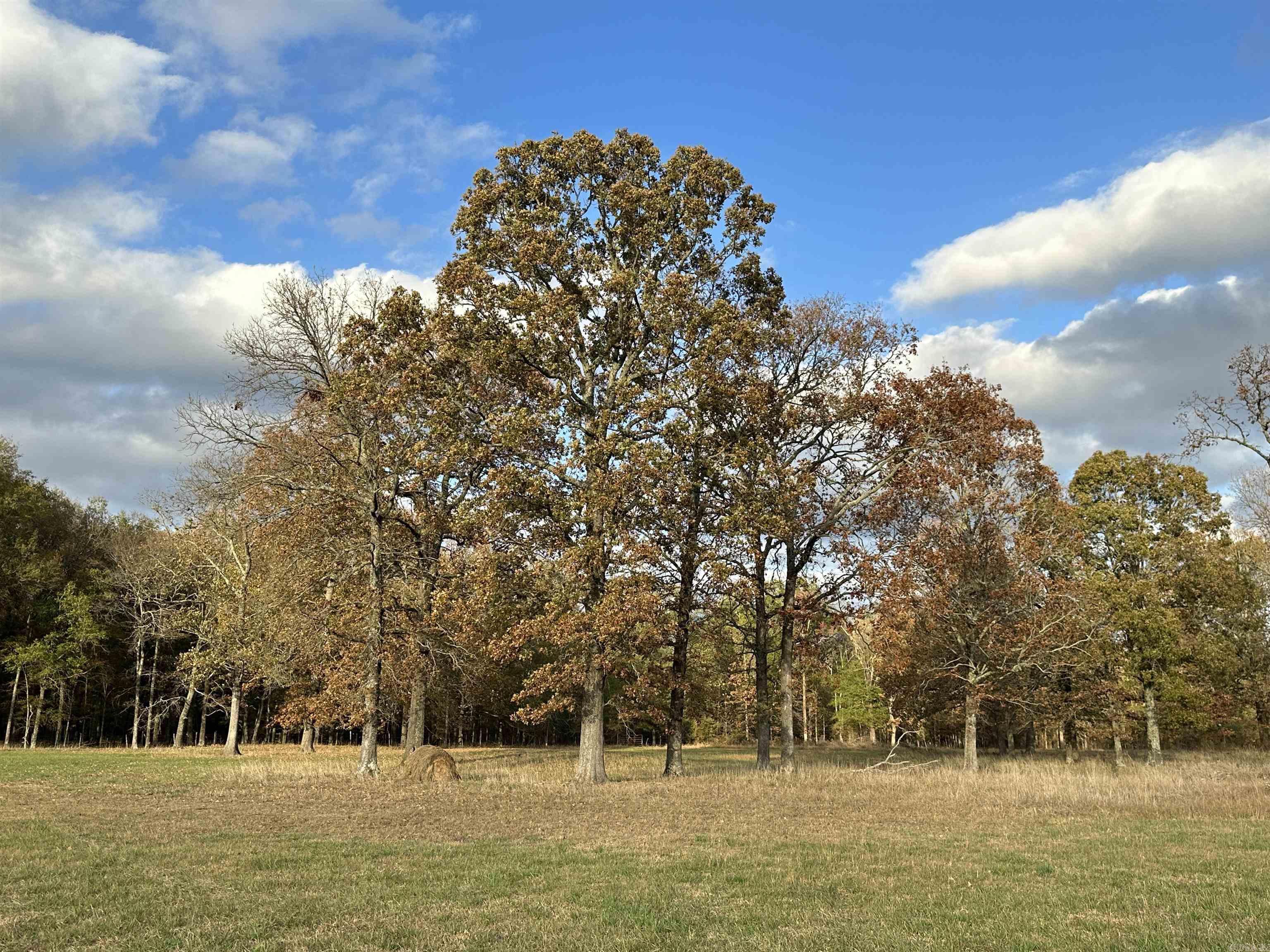 Metes & Bounds - Farm