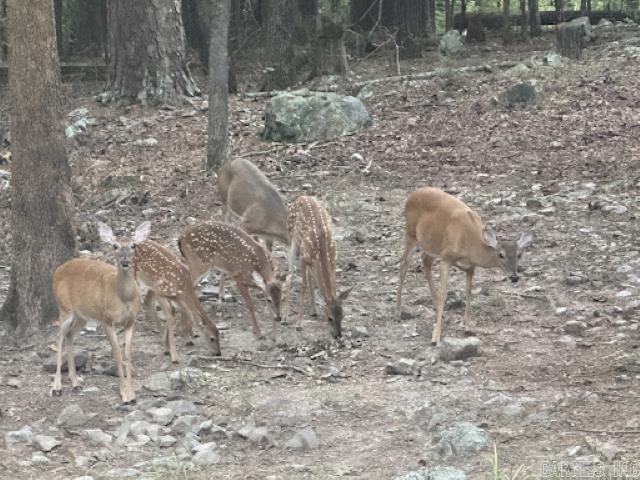 Sierra - Residential