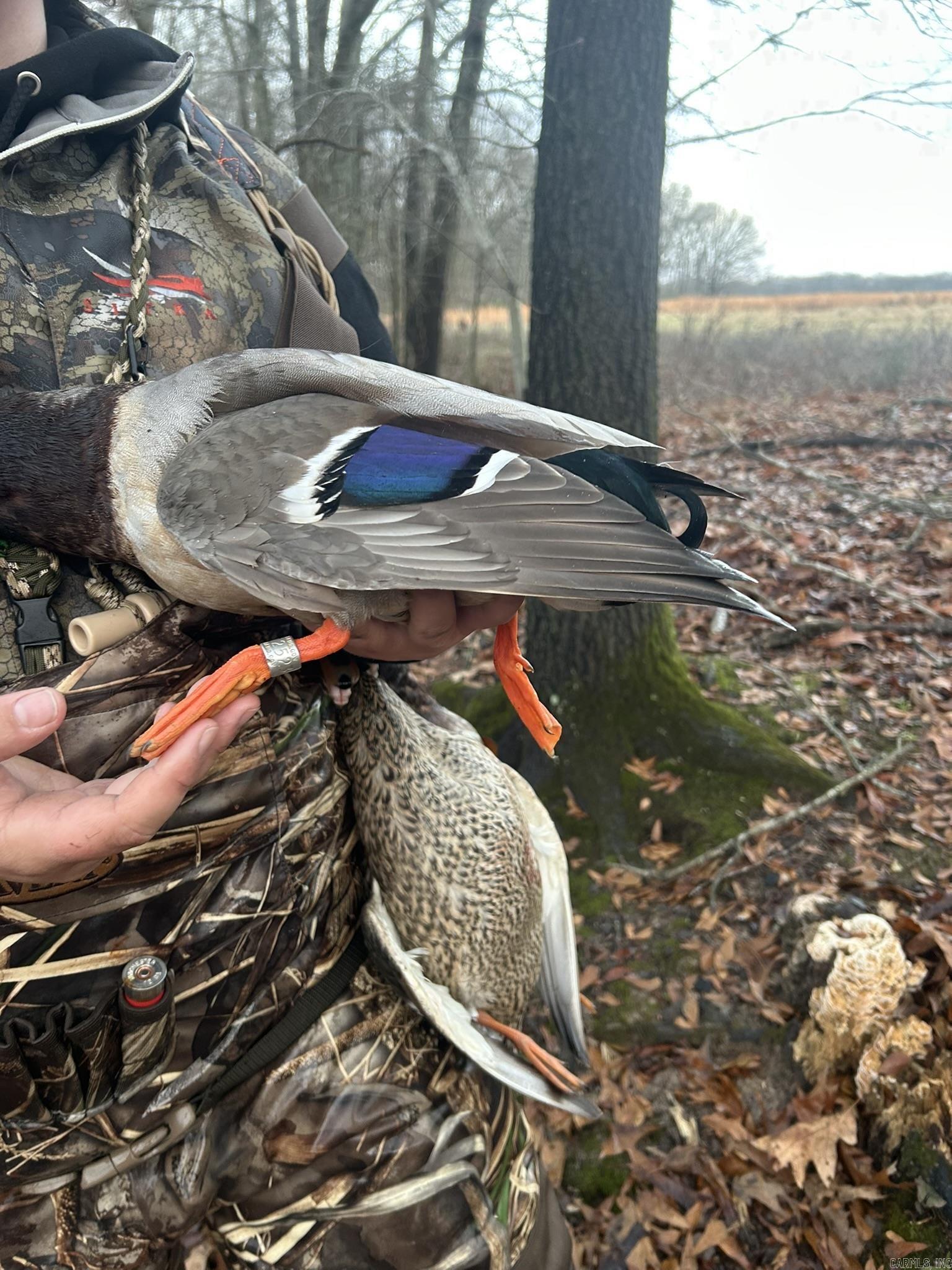 Not in Subdivision - Farm