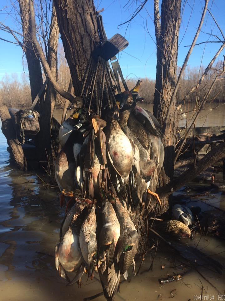 Not in Subdivision - Farm