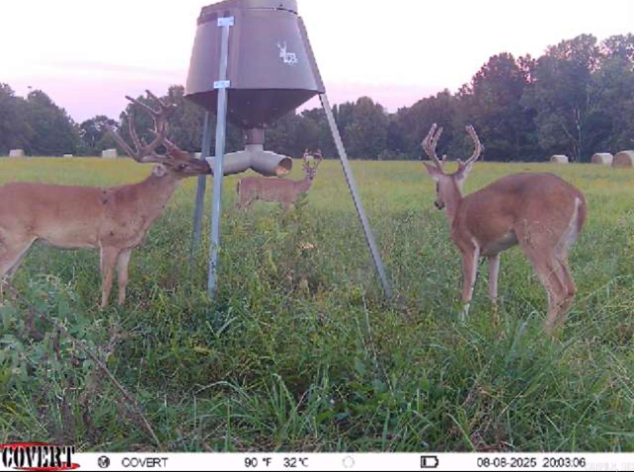 Not in Subdivision - Farm