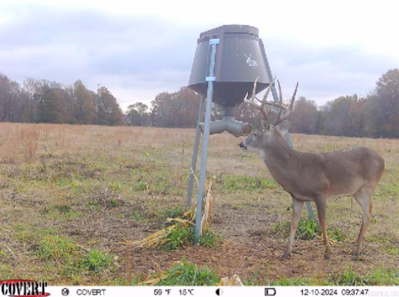 Not in Subdivision - Farm