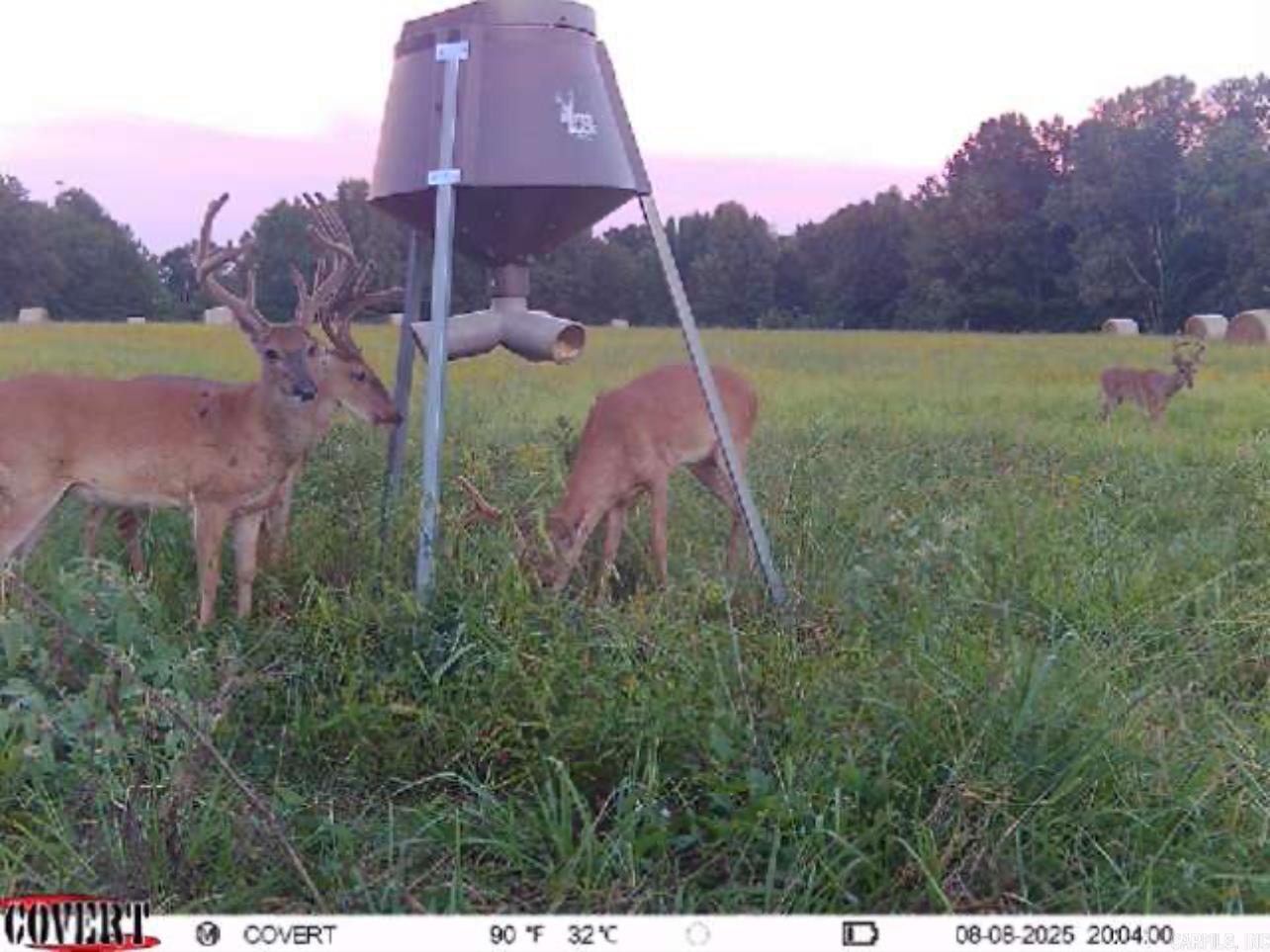 Not in Subdivision - Farm