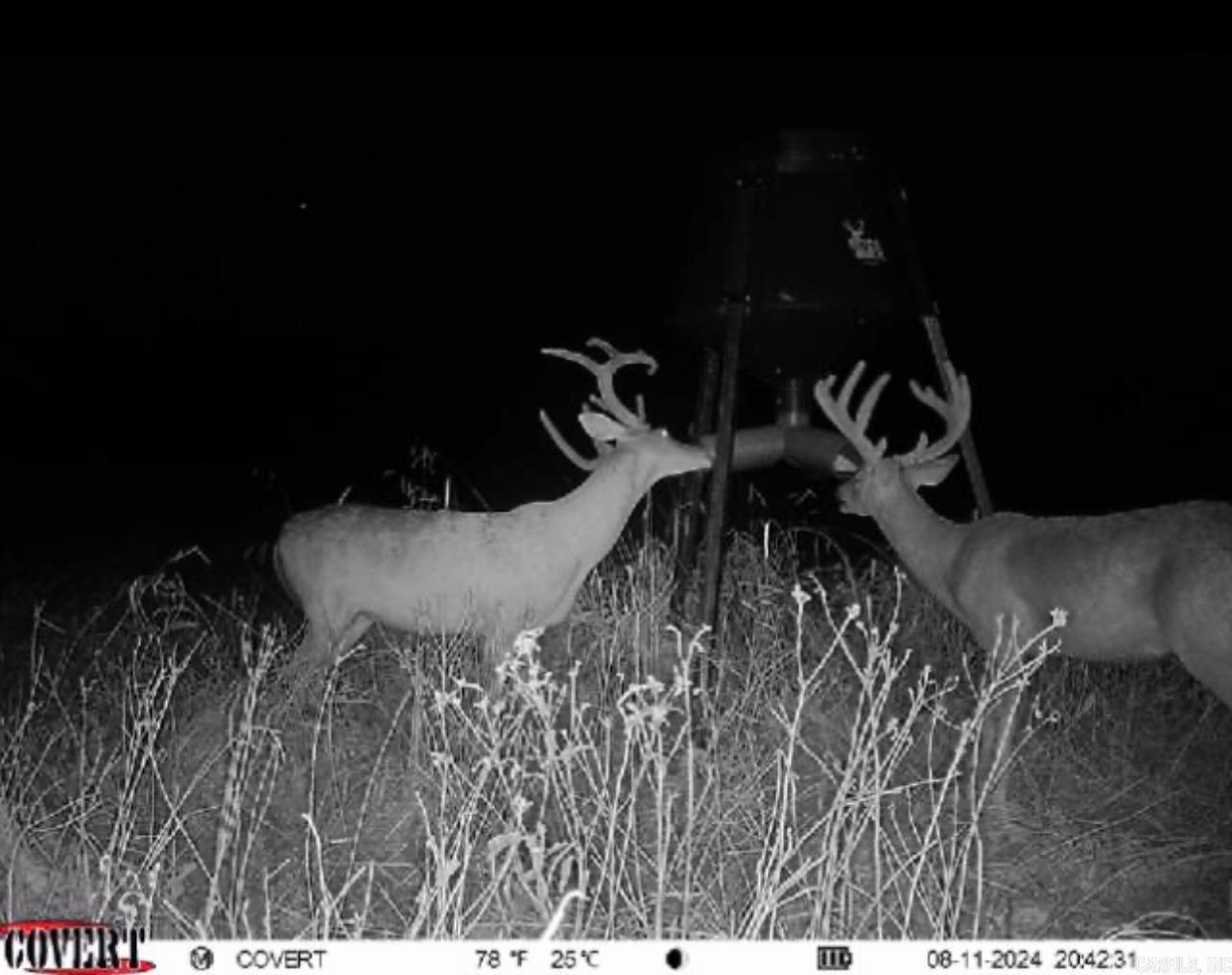 Not in Subdivision - Farm