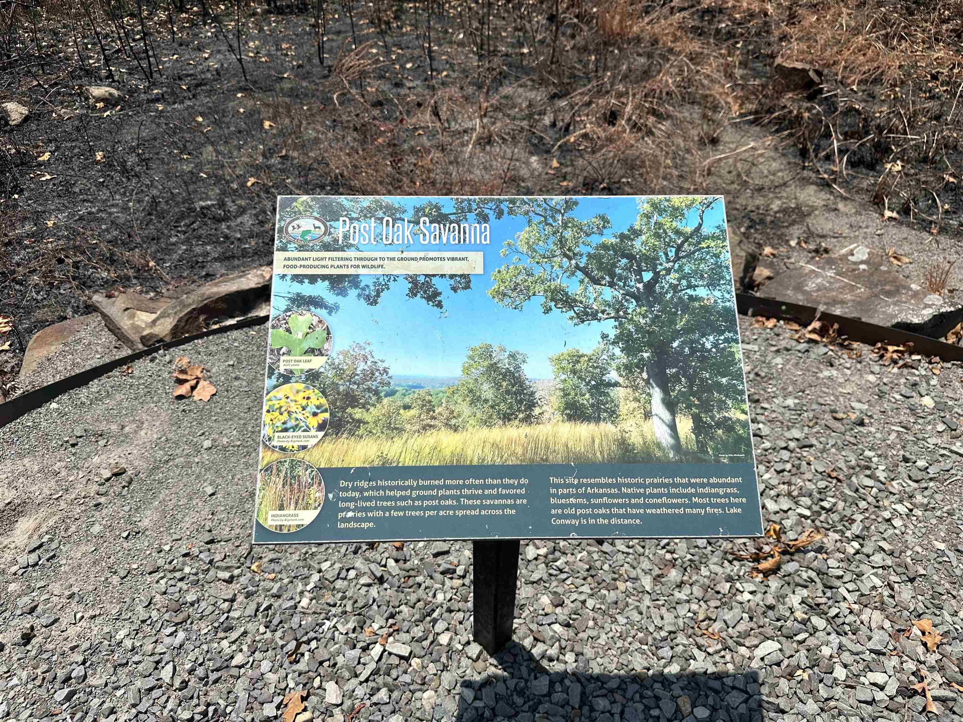 Green Lake Estates - Land