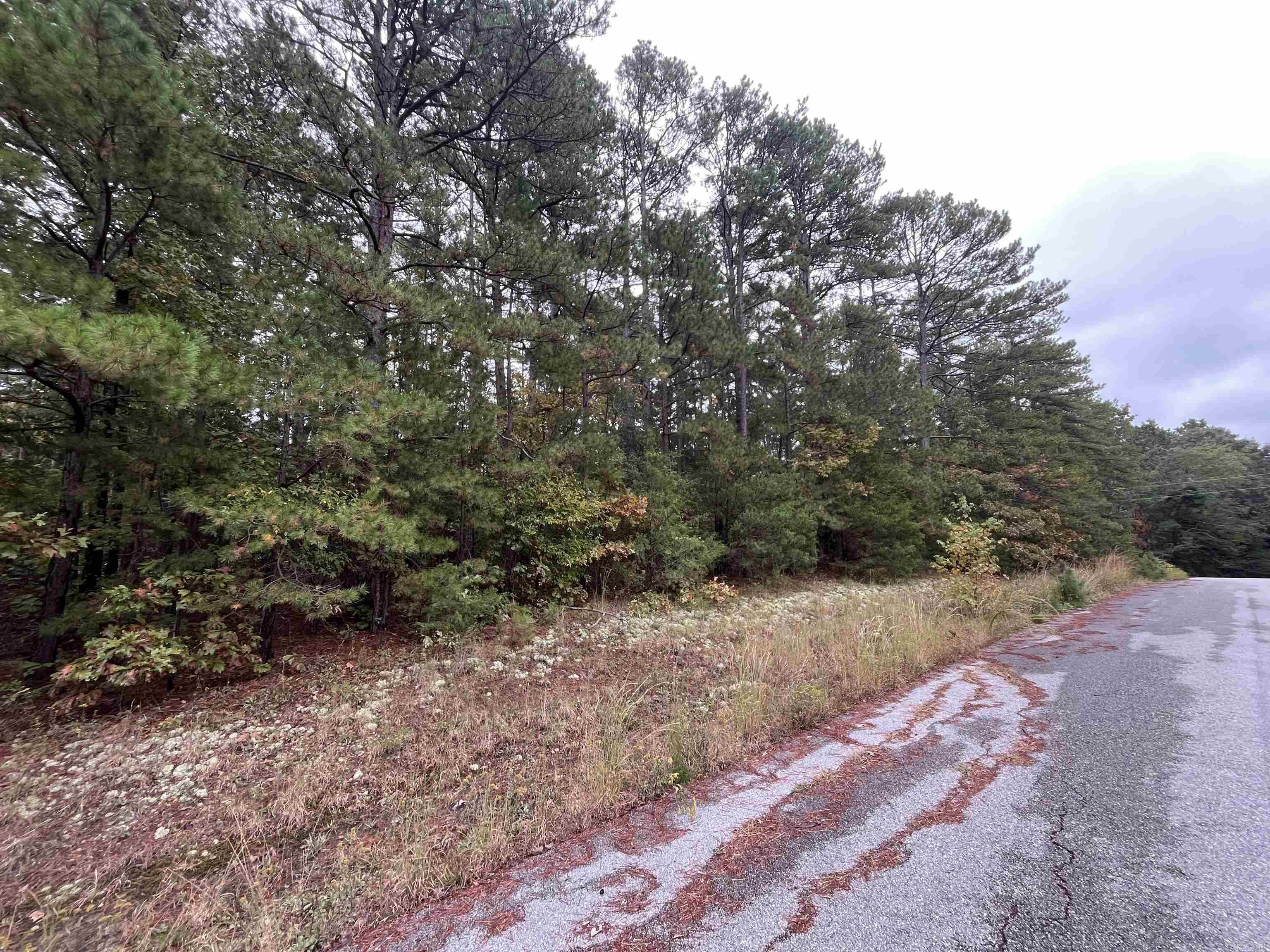 Wildwood Estates - Land