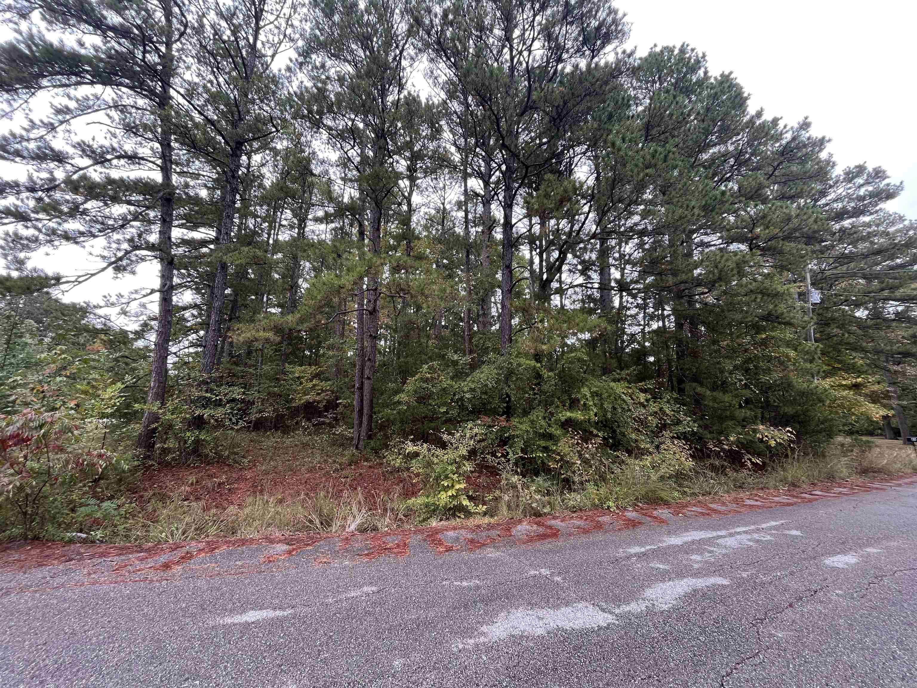 Great corner lot in Old Higden! Would make a great location to build! Had a perc test a long time ago and came out great. Give me a call today!