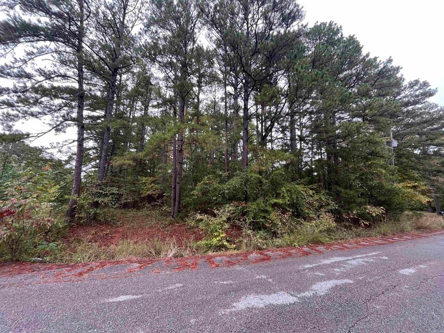Great corner lot in Old Higden! Would make a great location to build! Had a perc test a long time ago and came out great. Give me a call today!