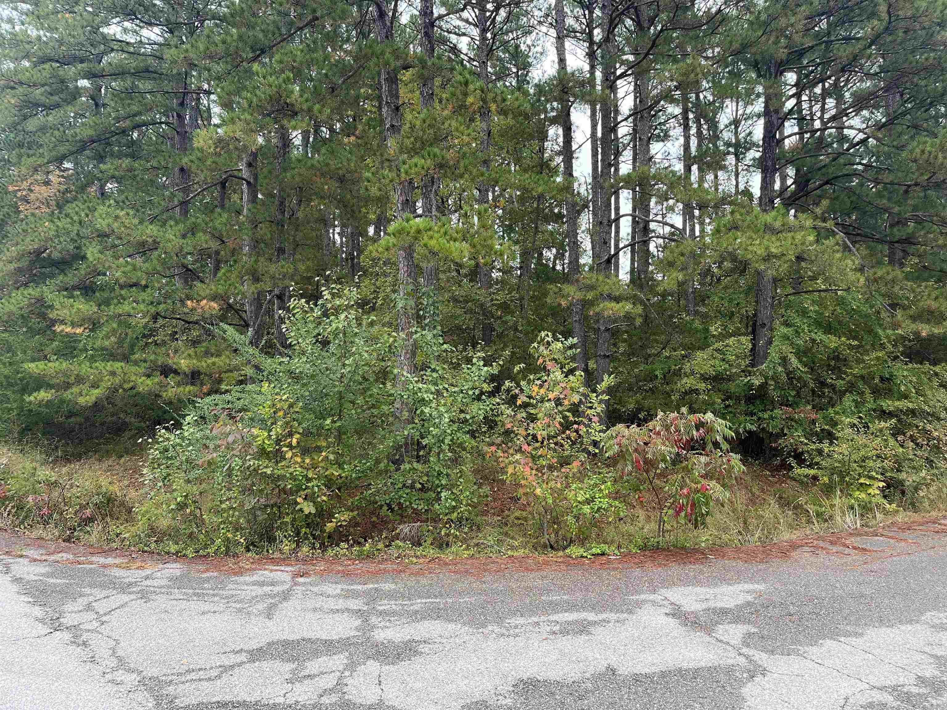 Wildwood Estates - Land