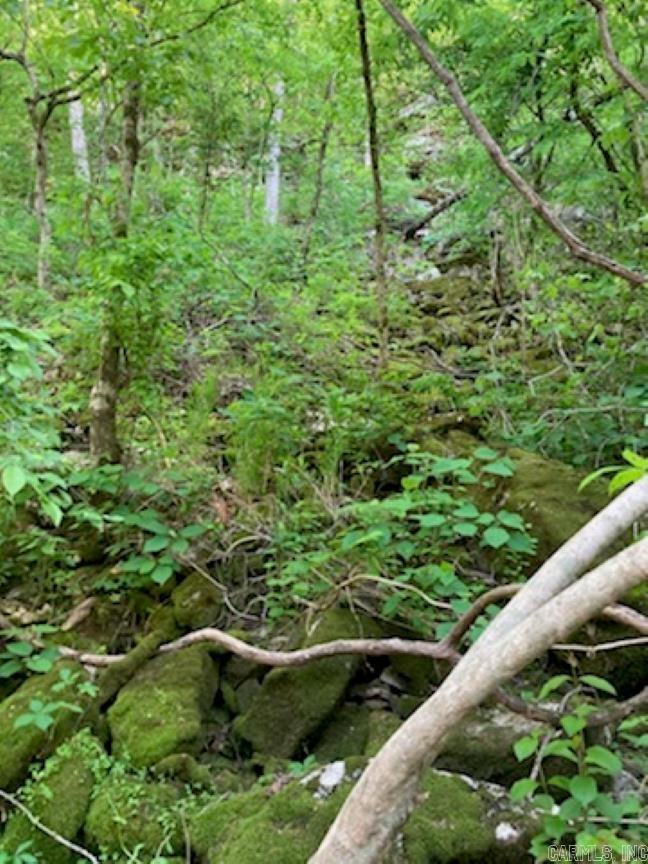 CEDAR HILLS - Residential