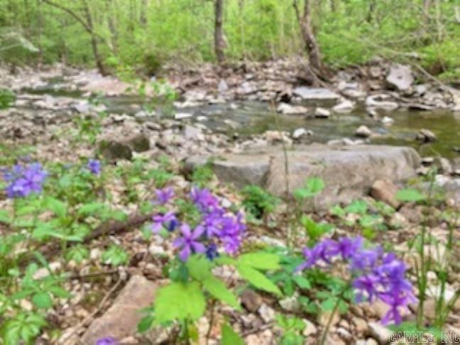 CEDAR HILLS - Residential