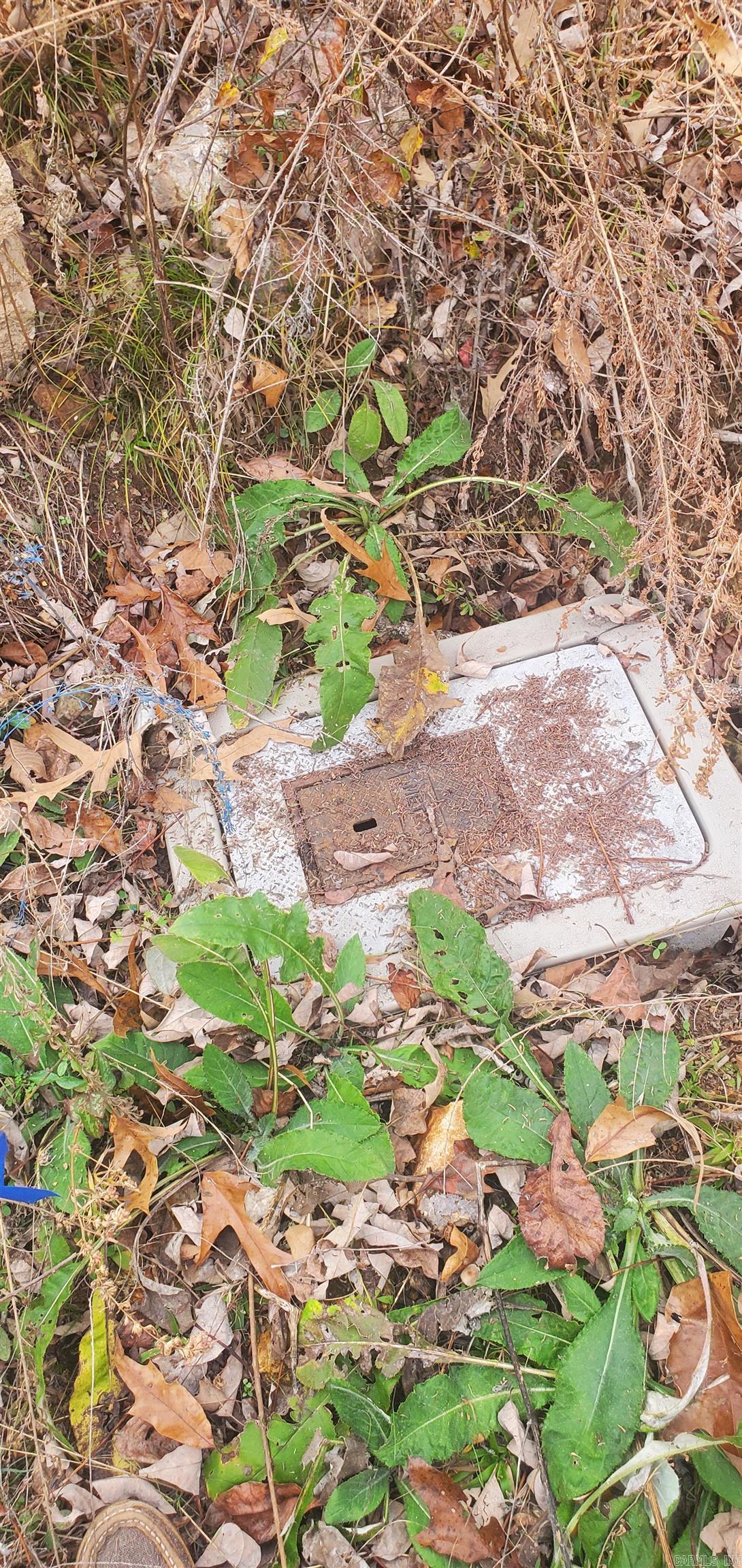 CEDAR HILLS - Residential