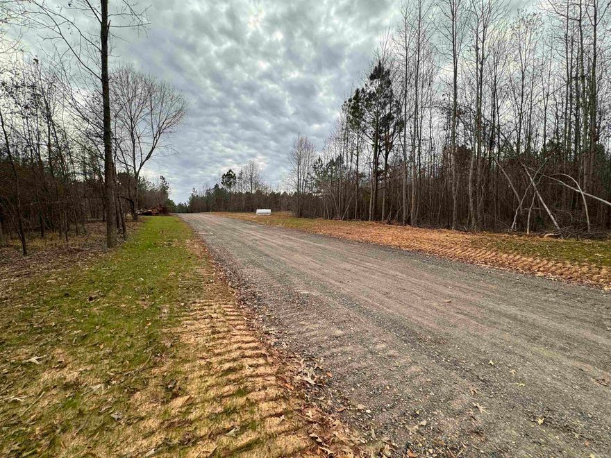 Discover the ideal canvas for your dream home on this beautiful 3 acre parcel of land, located just a couple miles from Cabot. Enjoy the convenience of road frontage, ensuring easy access to your dream property. This lot offers a peaceful retreat where you can envision your custom-built residence surrounded by natural beauty. Don't miss your chance to make this your own! No mobiles allowed.