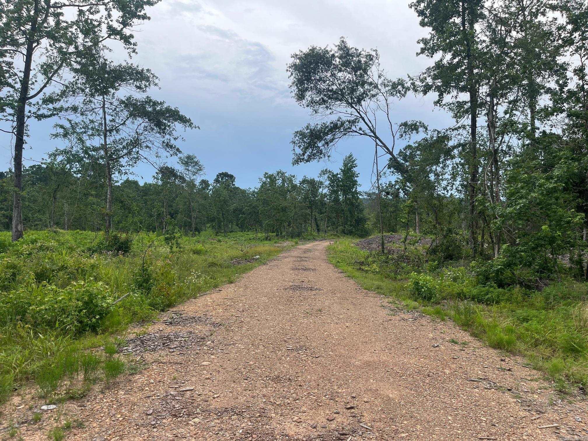 This 30+/- acre tract on the Clark/Hot Spring County line has frontage along Highway 84. The pine timber was recently harvested leaving the hardwoods which make the property ideal for rural residential with mountains in the backdrop. Hunt or ride trails right out your back door. The property is near Point Cedar, between Amity and Bismarck. $4,000/Acre (Survey Pending)