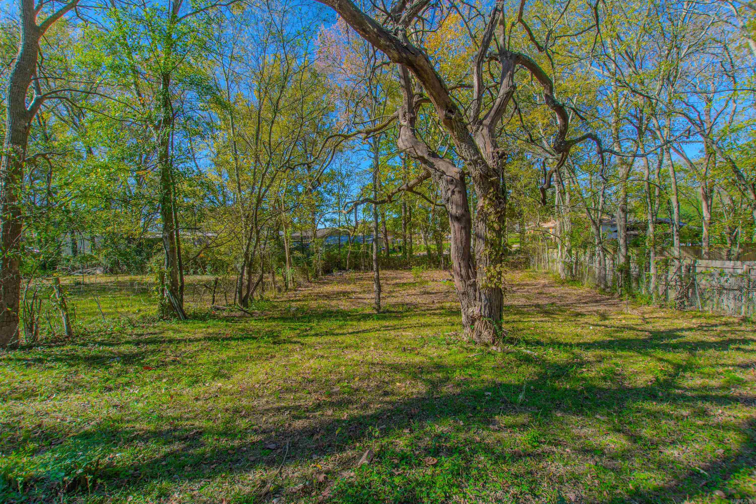 CARSON PARK - Residential