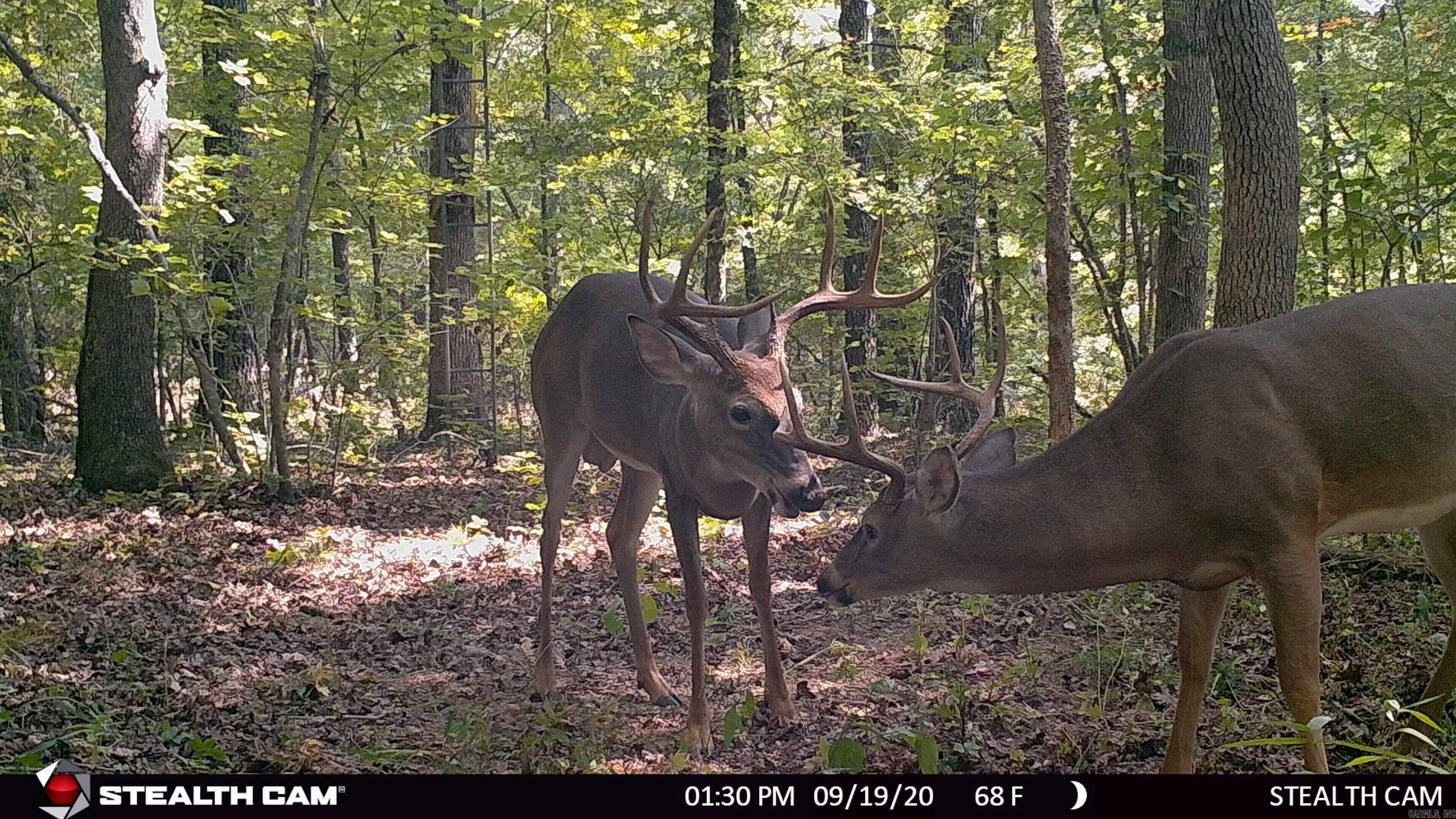 Metes & Bounds - Land