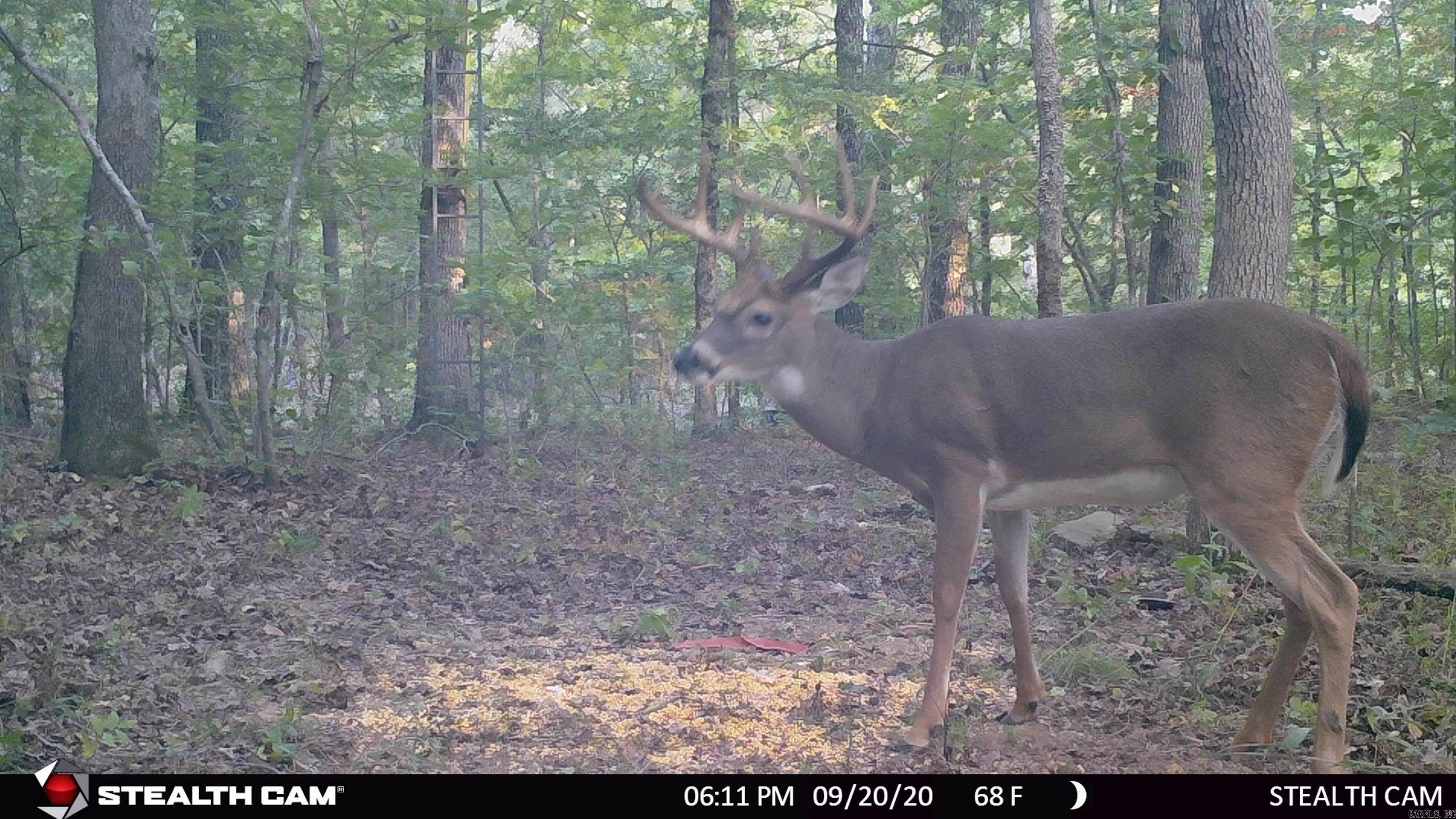 Metes & Bounds - Land