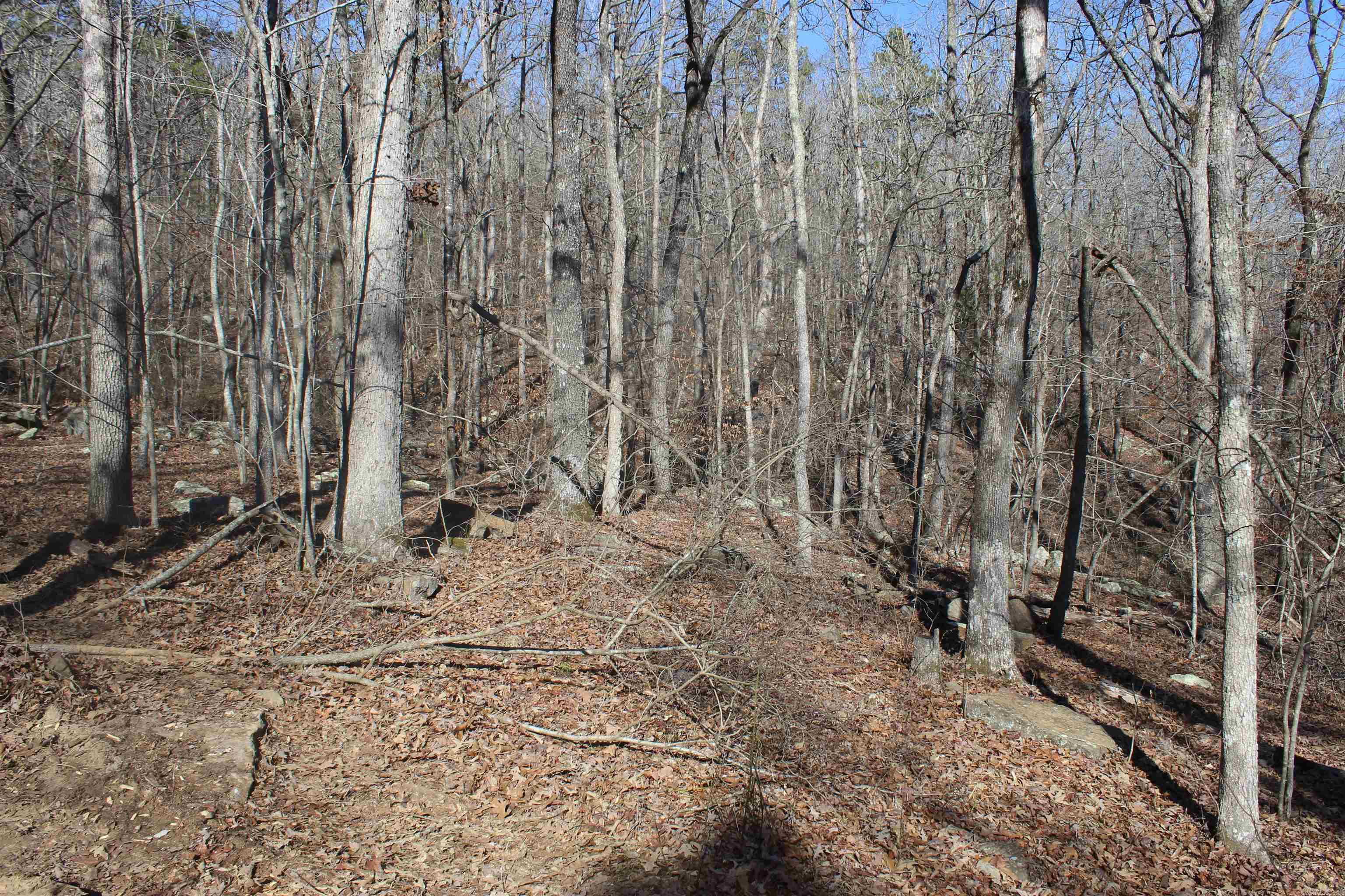 Metes & Bounds - Land