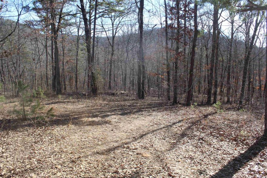 GREAT HUNTING PROPERTY!!! 10.09 surveyed acres of recreational, timberland, hunting land. This property has many possibilities. Located in a peaceful setting with county road access and electric on site this would be a great place to build a weekend getaway to escape the hustle and bustle of day to day life or for your forever home.  A well would need to be drilled for water. With an abundance of wildlife in the area consisting of whitetail deer, turkey, bear, and numerous small game animals this would be a great hunting property for the avid outdoorsman. Property has numerous outcroppings and marketable timber. Located approximately 40 minutes from the Buffalo National River where you can enjoy kayaking, canoeing, fishing, and numerous other outdoor activities. 13 miles to  Marshall where you can gather all your supplies. This could be just what you have been are looking for.  Don't miss out!!