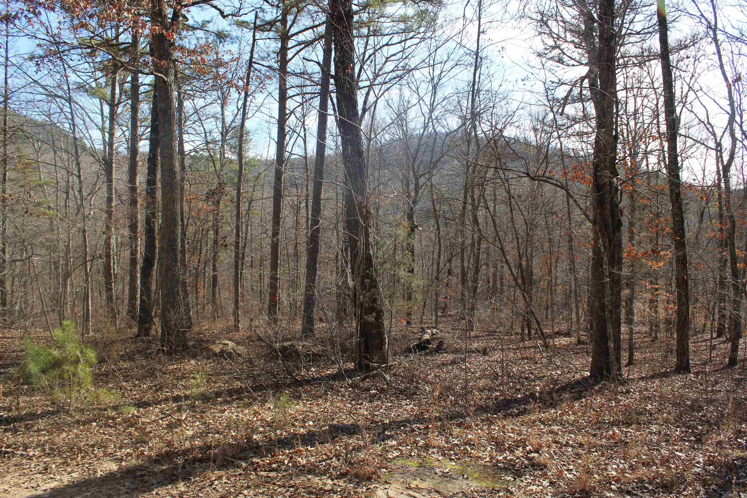 Metes & Bounds - Land